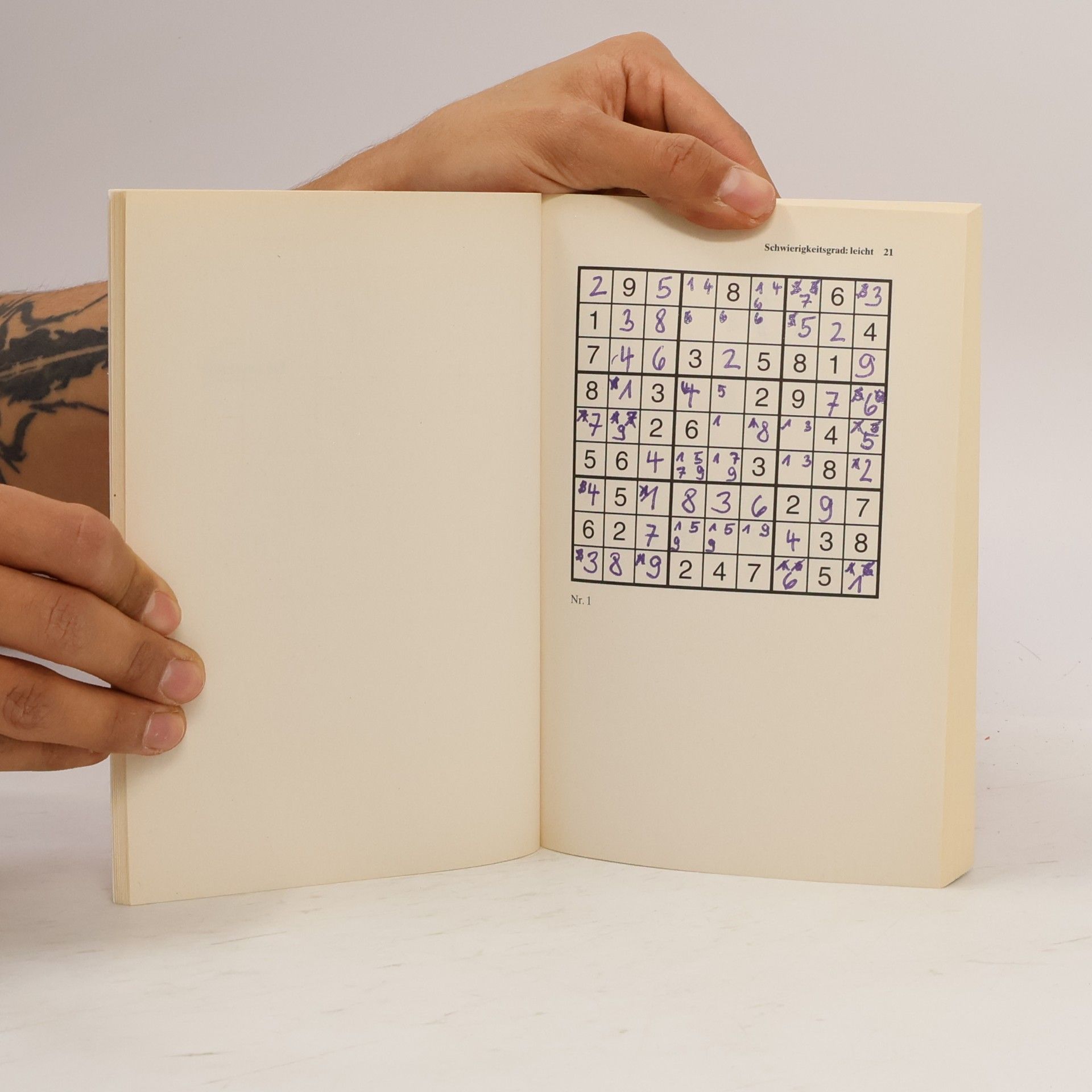 Fischer Sachbücher: 100 Sudoku