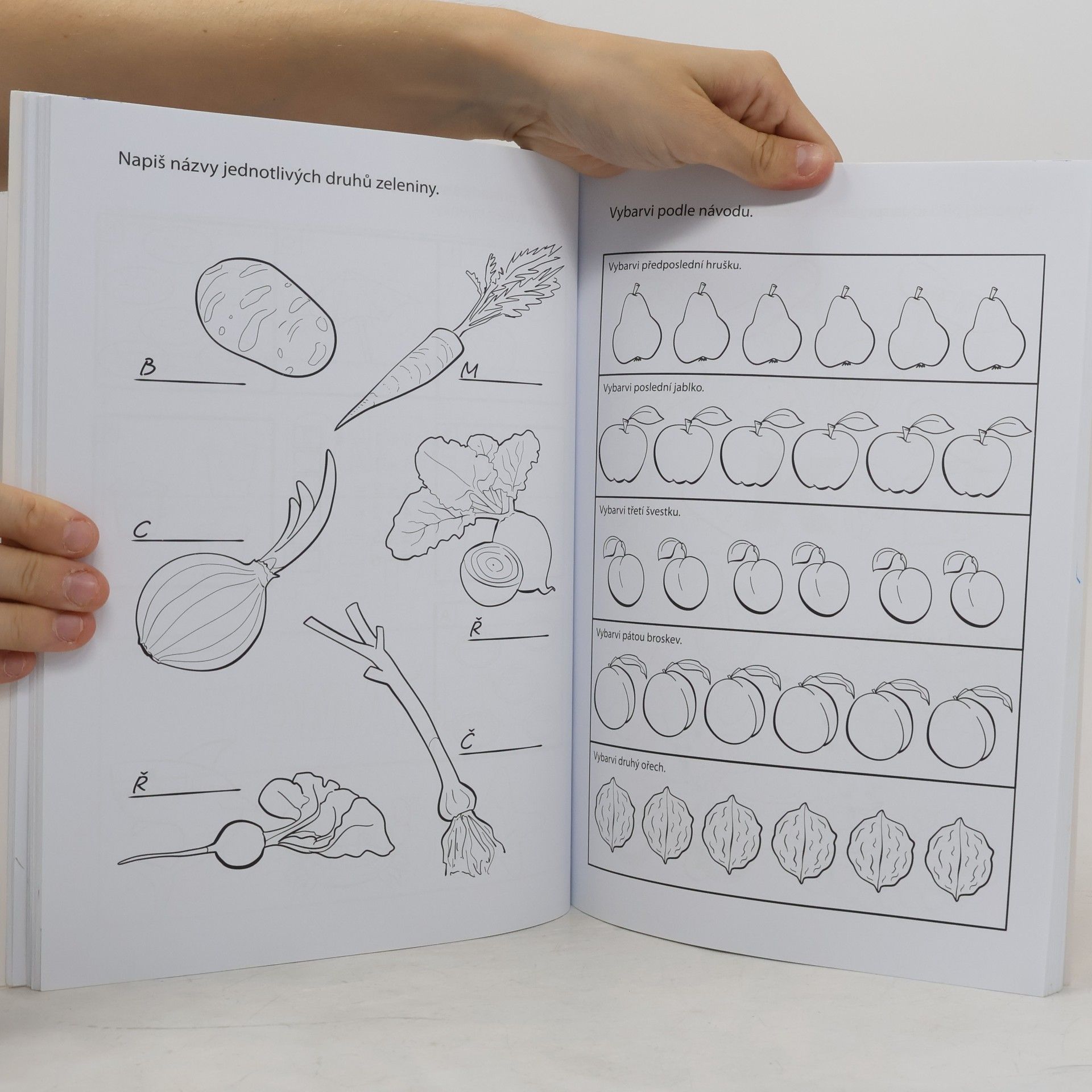 Various authors Velká kniha předškoláka