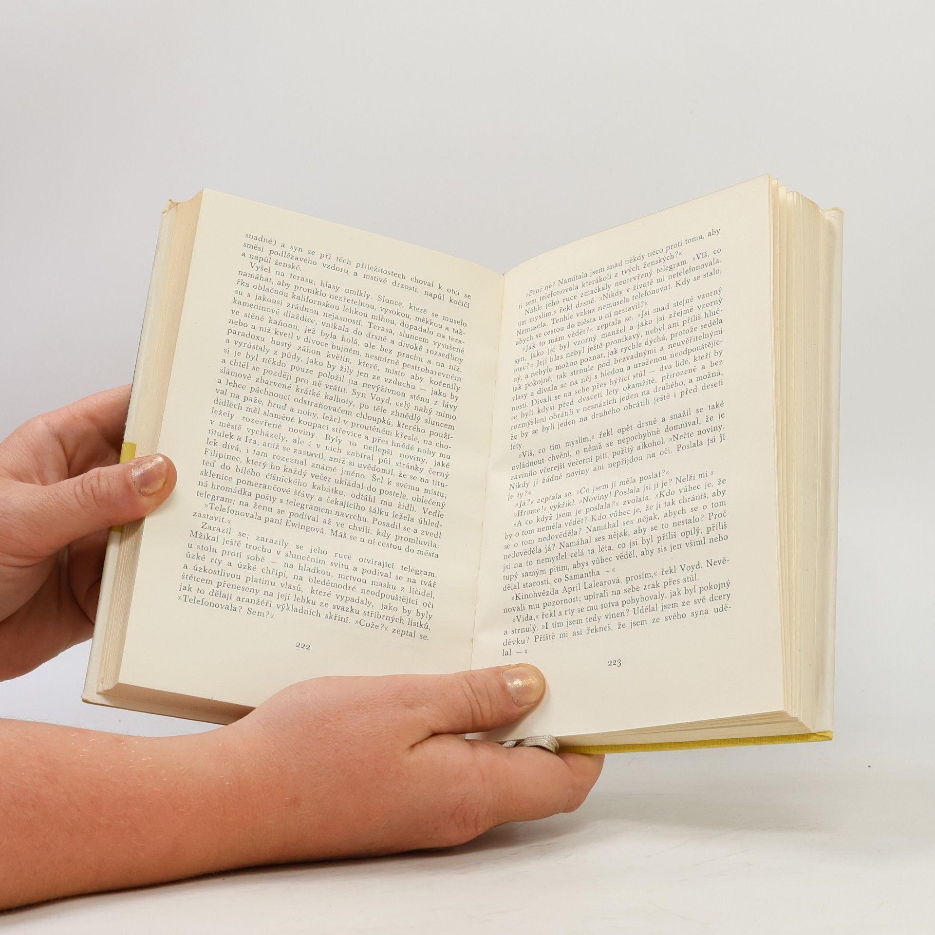 William Faulkner Růže pro Emilii