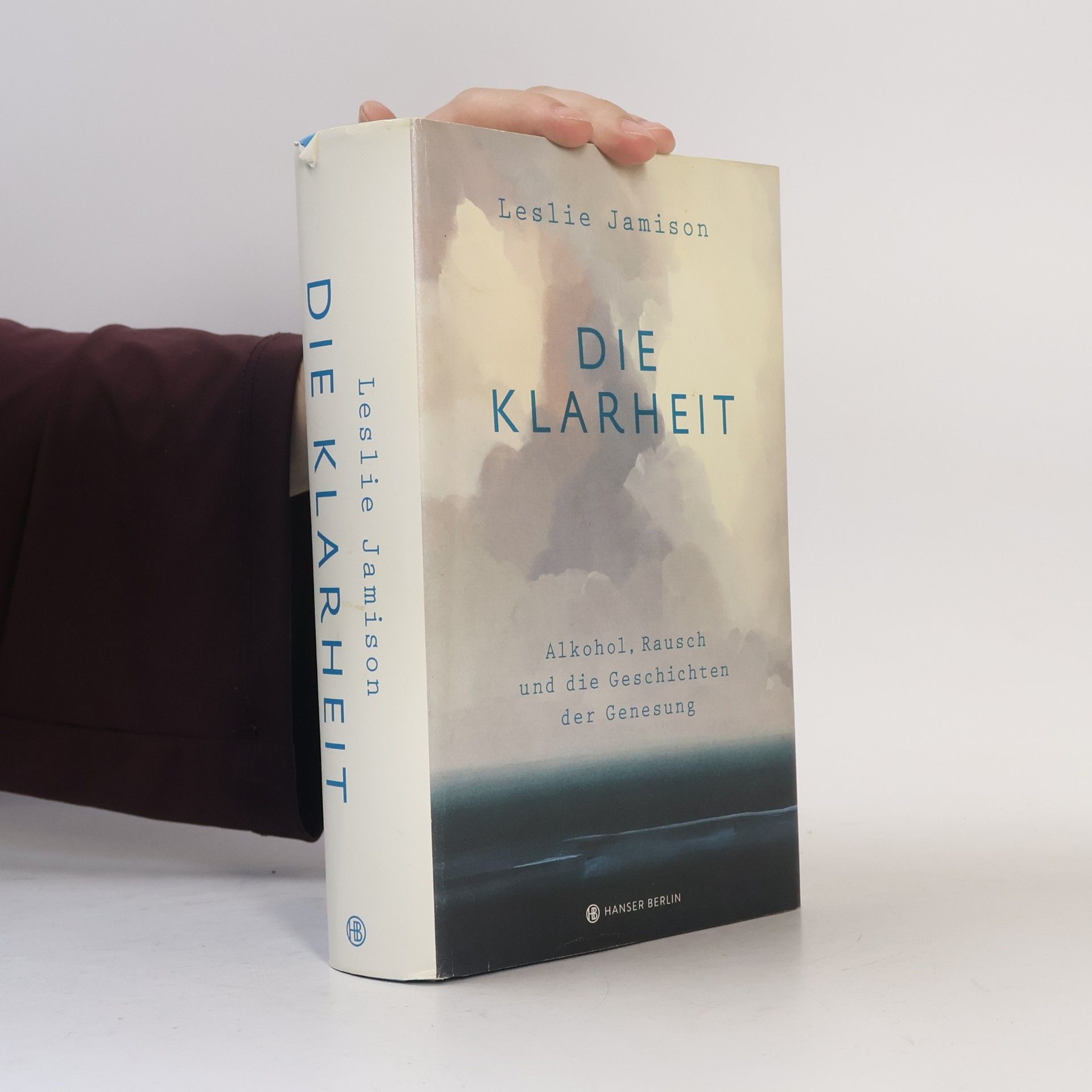Leslie Jamison Die Klarheit