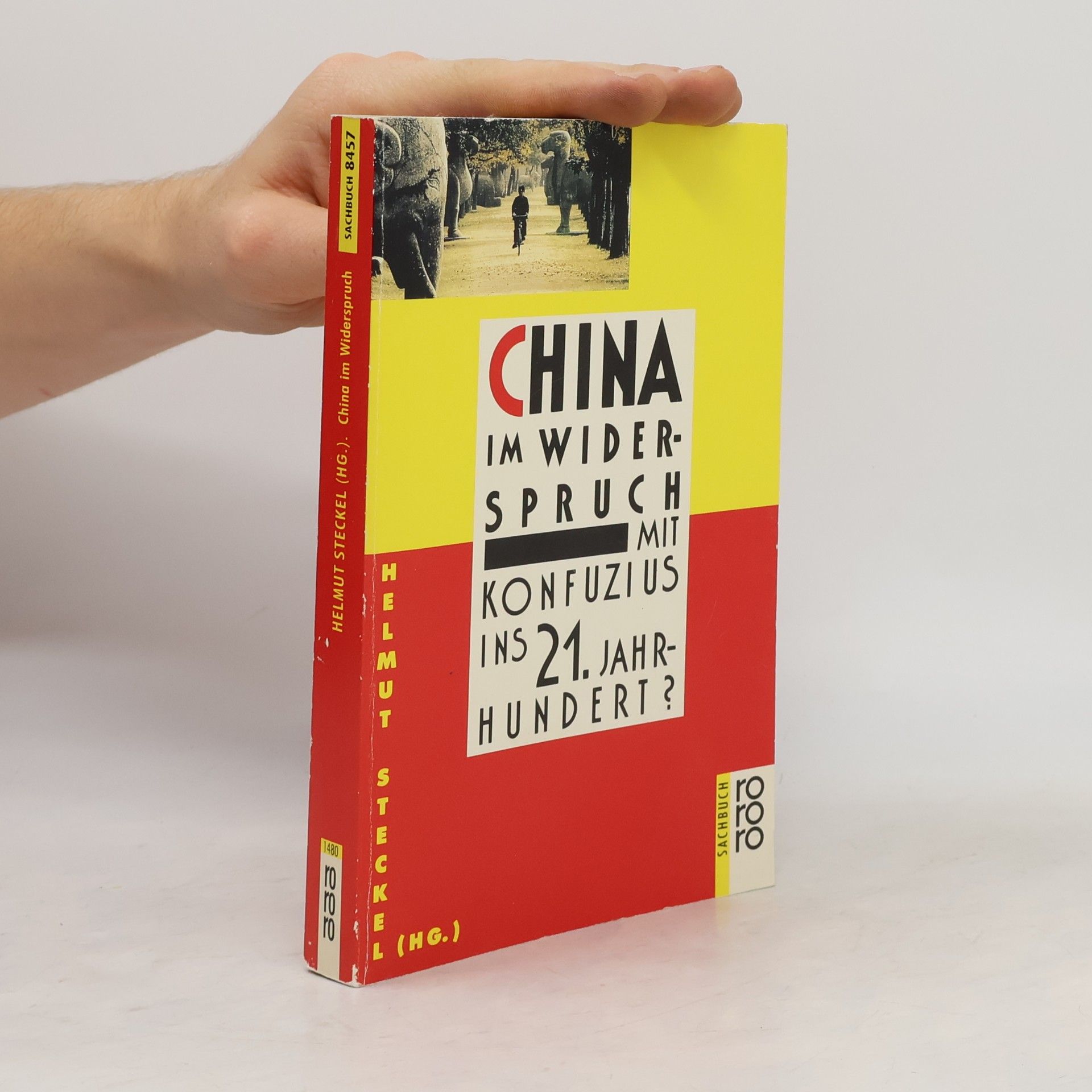 China im Widerspruch