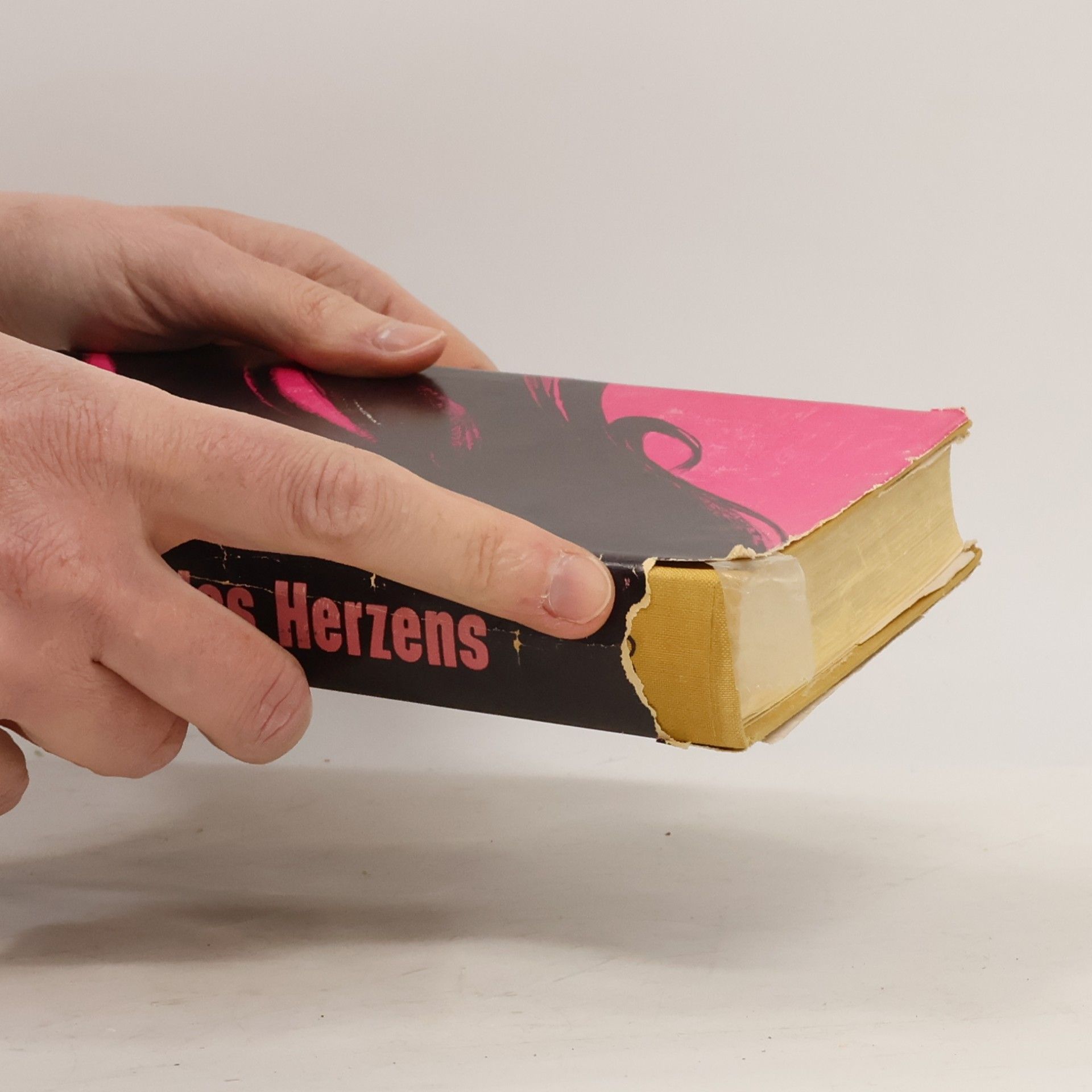Stefan Zweig Ungeduld des Herzens