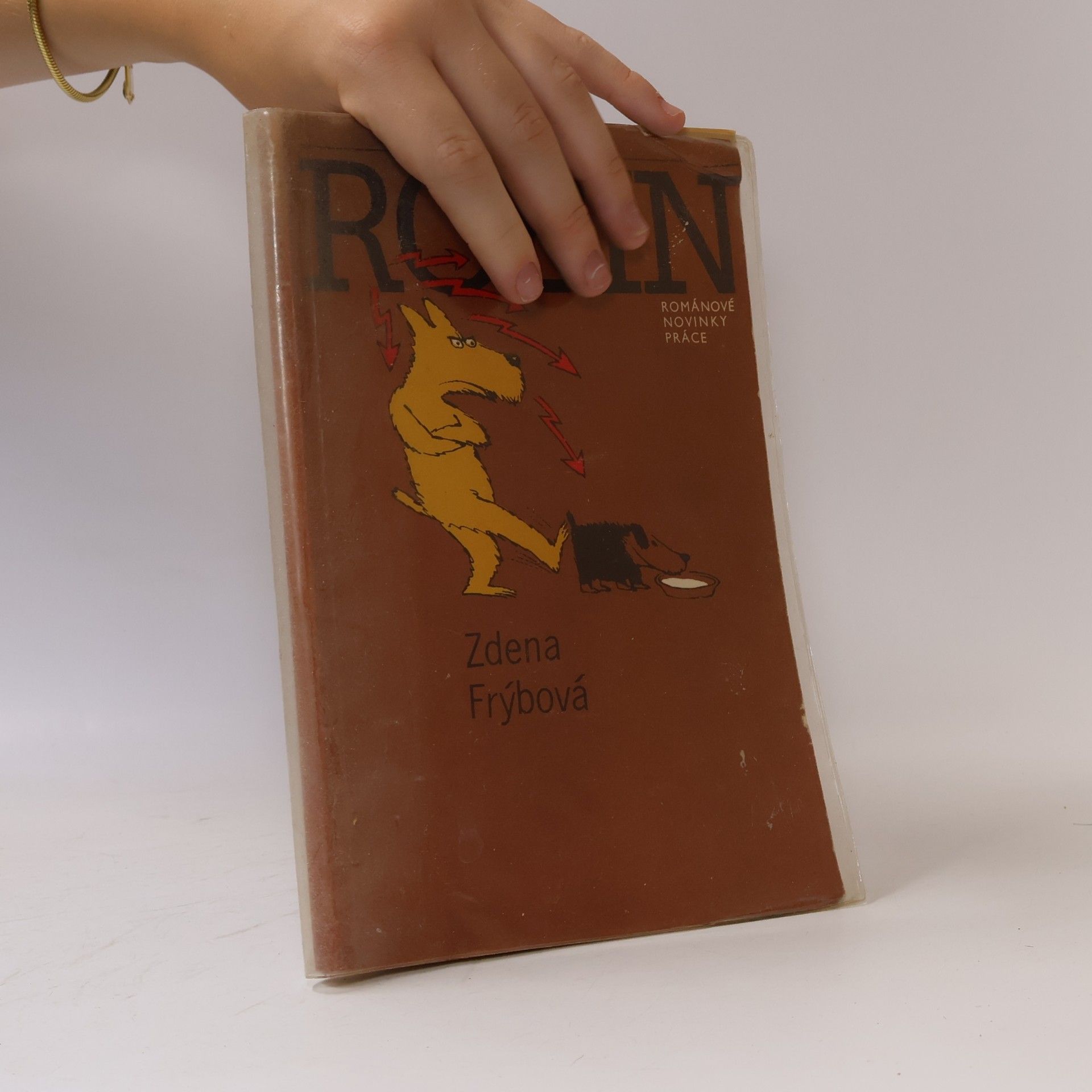 Zdena Frýbová Robin