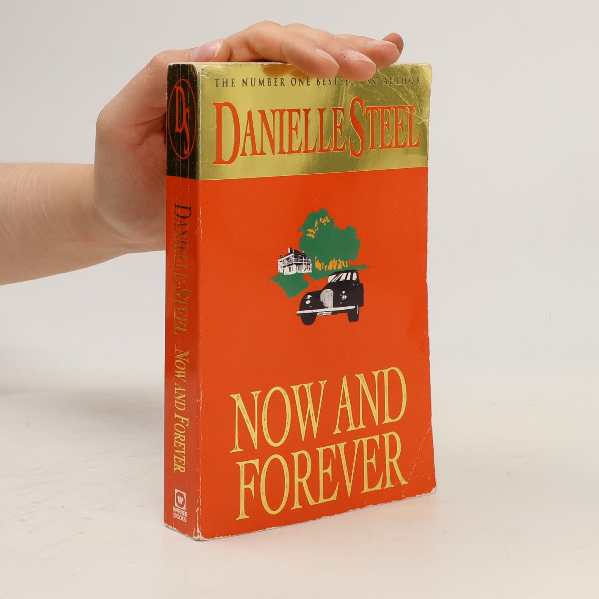 Danielle Steel Now and forever