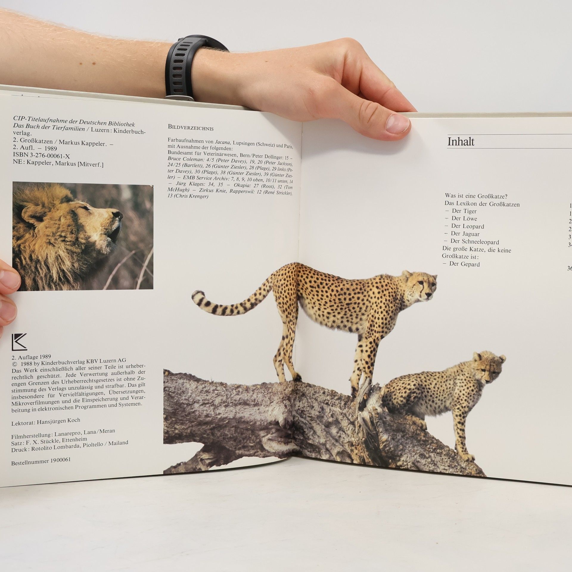 Markus Kappeler Das Buch der Tierfamilien 2. Großkatzen