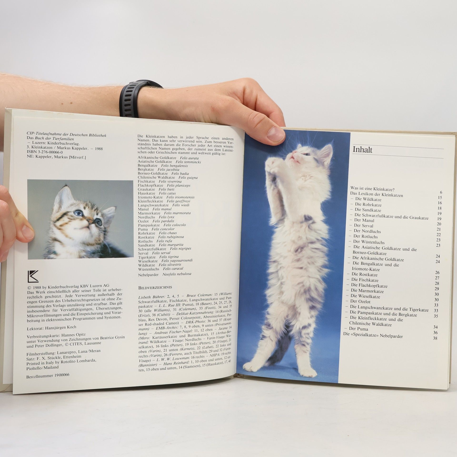 Markus Kappeler Das Buch der Tierfamilien 3. Kleinkatzen