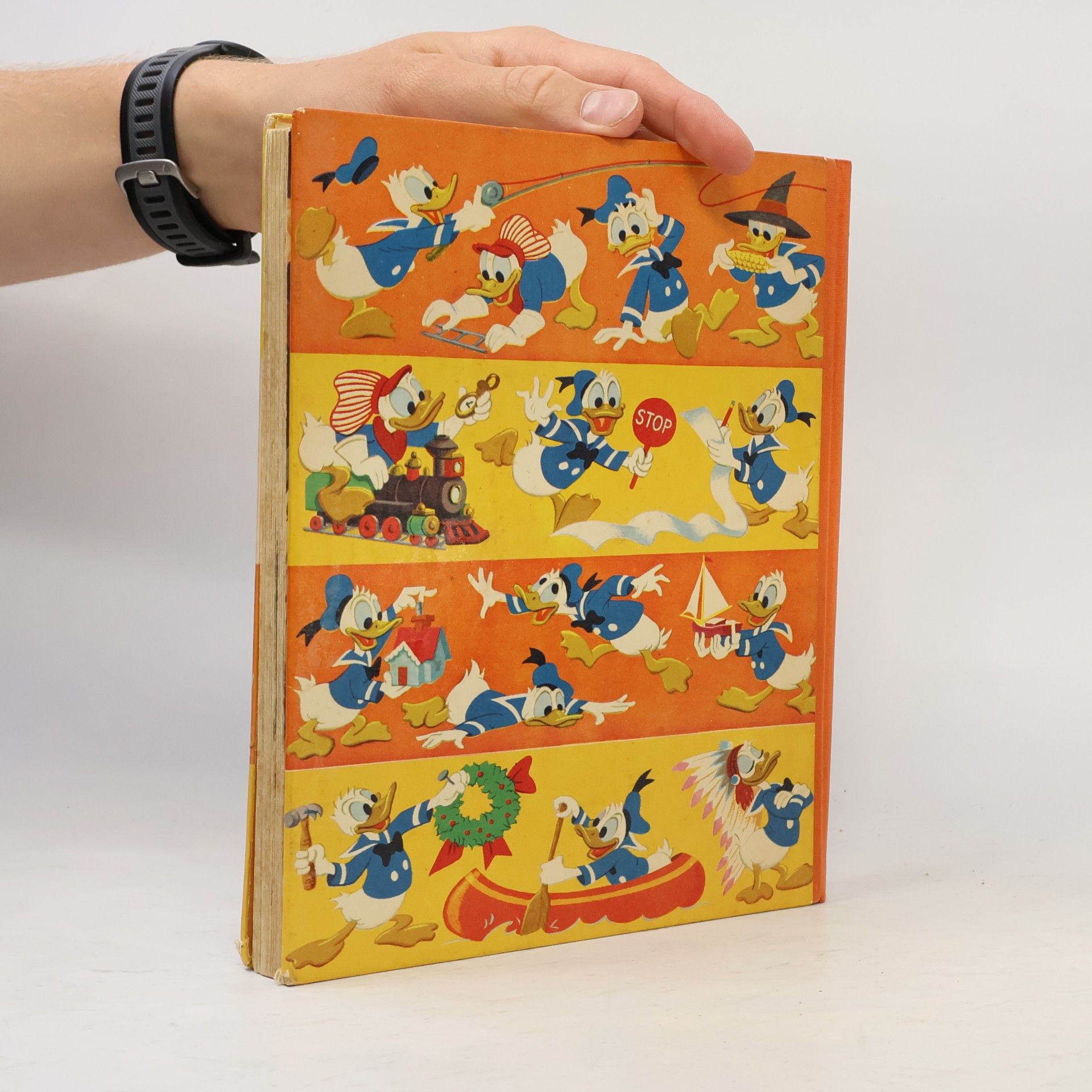 Walt Disney Das große Donald Duck- Buch