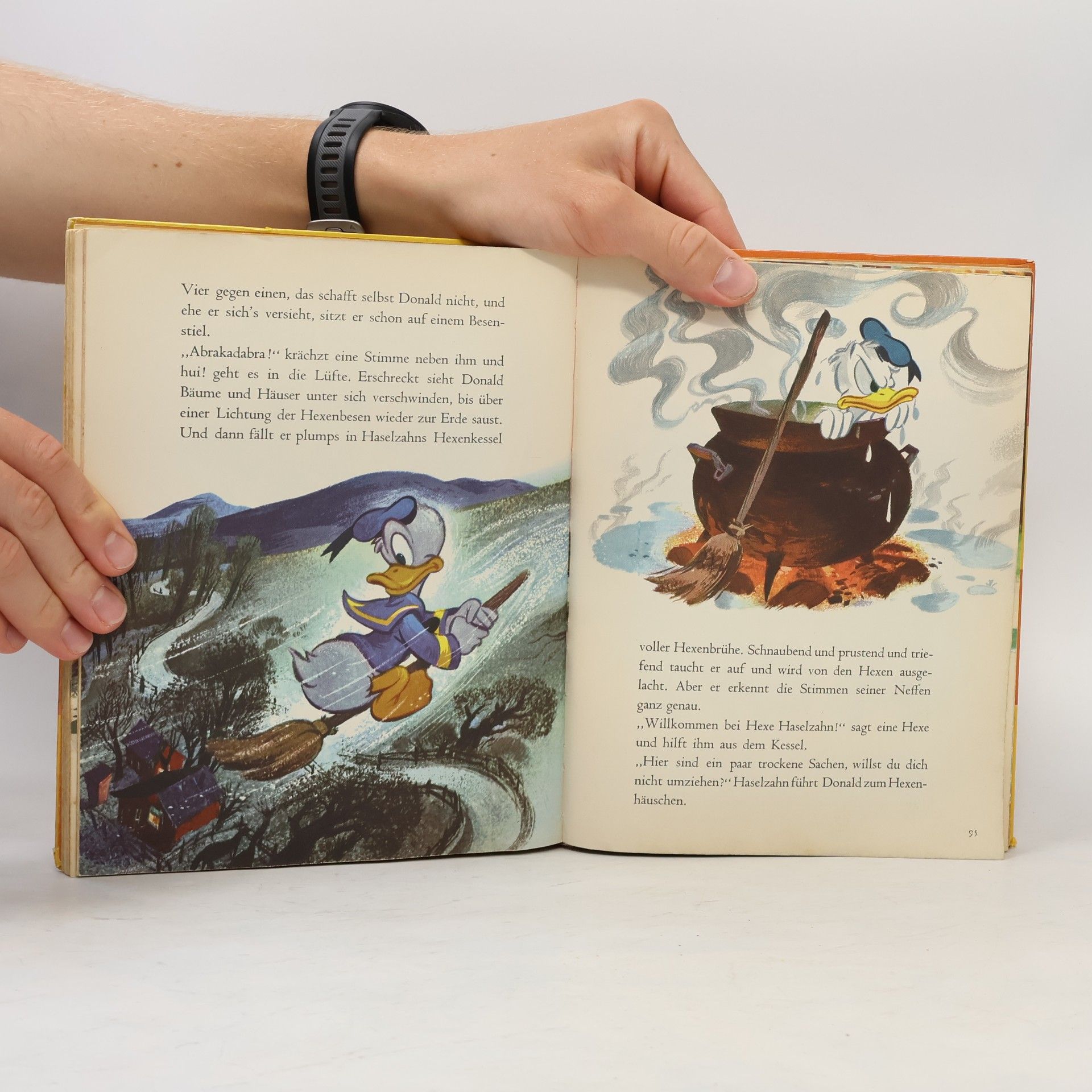 Walt Disney Das große Donald Duck- Buch