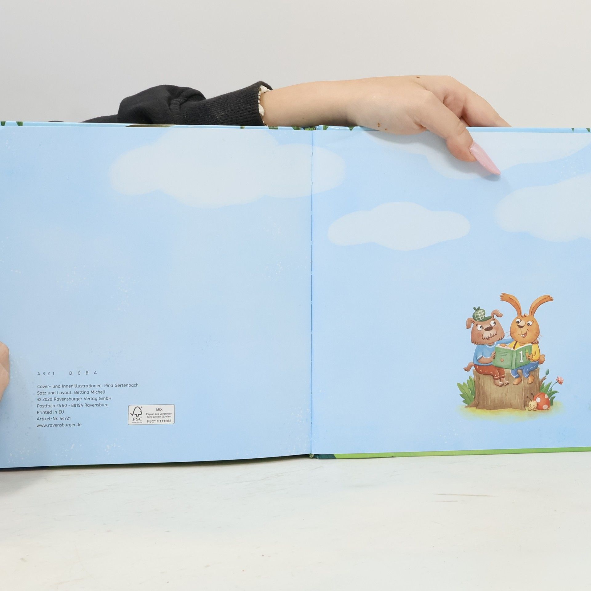 Pina Gertenbach Meine Kindergartenfreunde: Tierisch beste Freunde