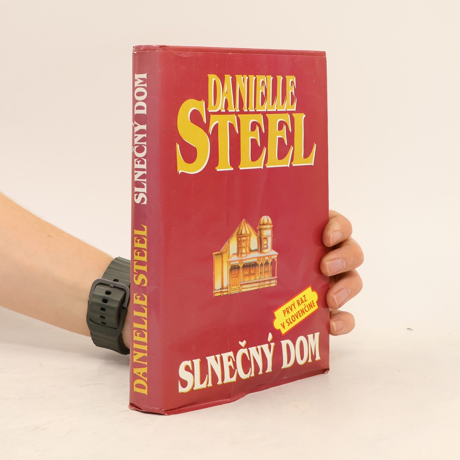Danielle Steel Slnečný dom