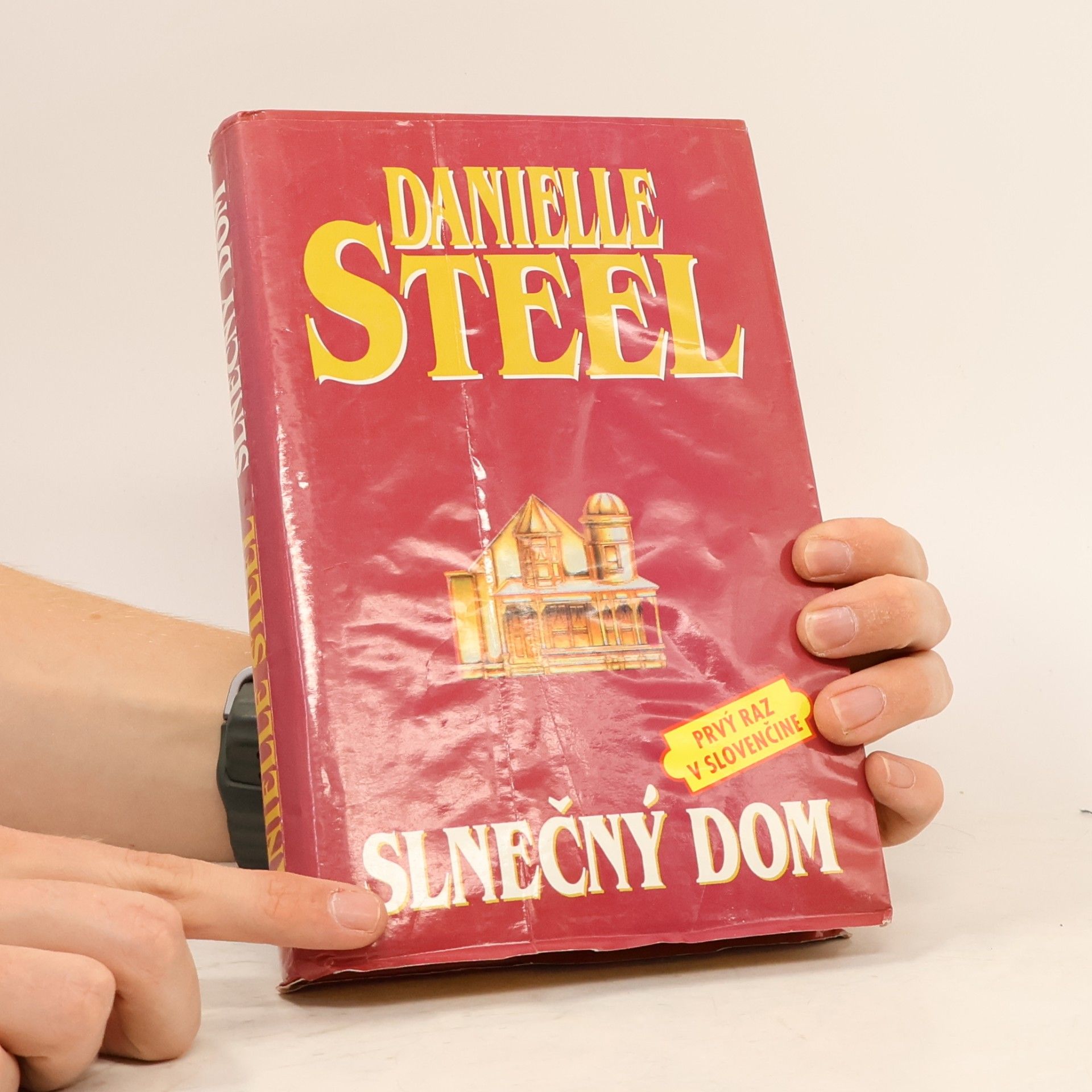 Danielle Steel Slnečný dom