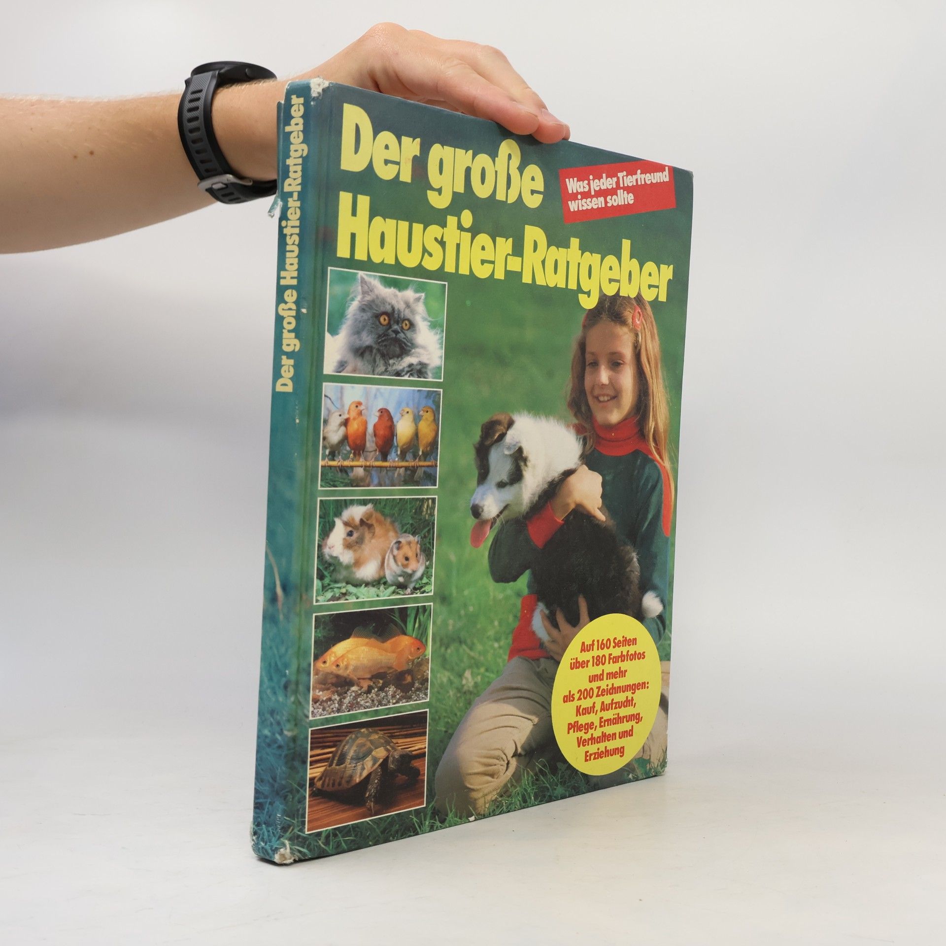 Autorenkollektiv Der große Haustier-Ratgeber