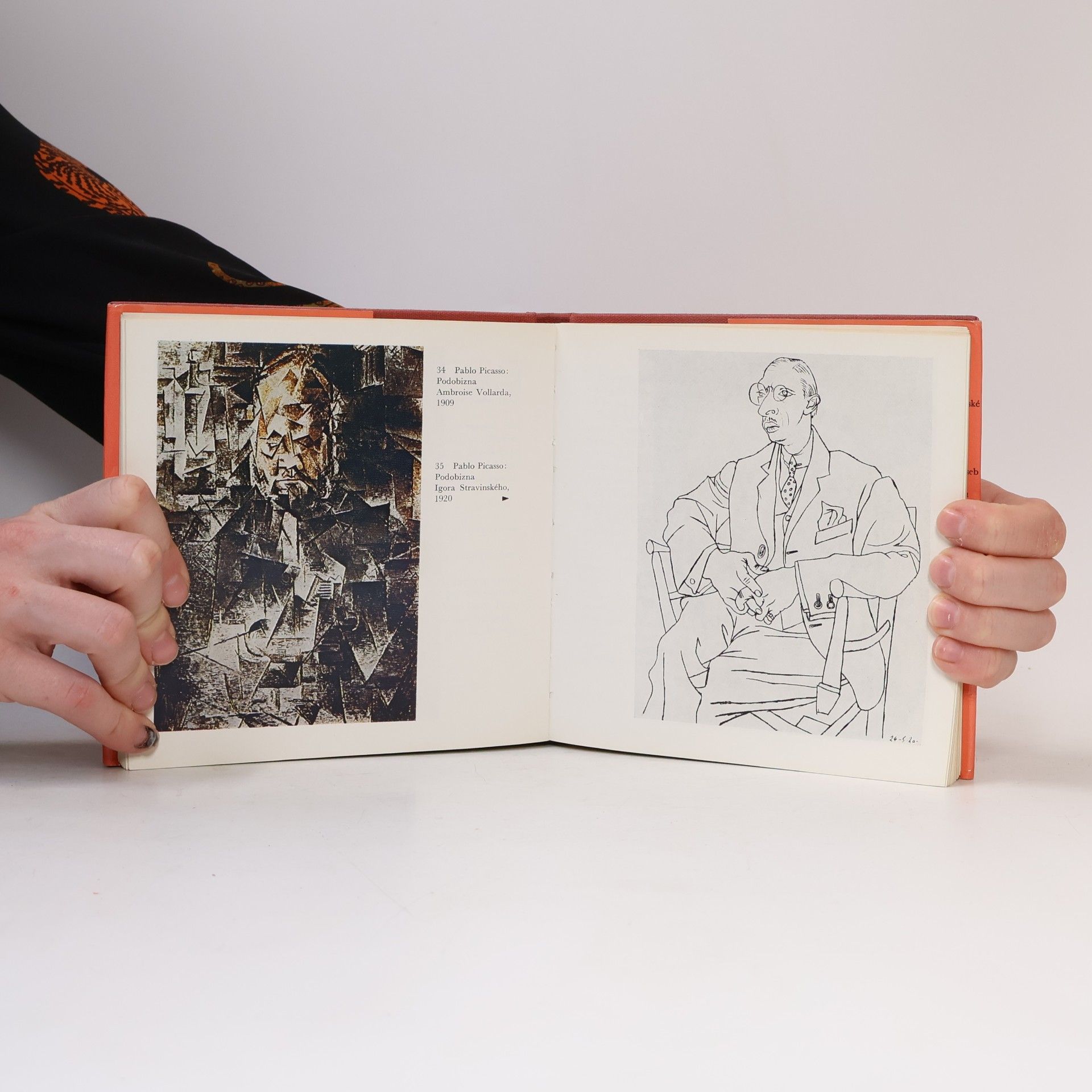 Renato Guttuso O malířích