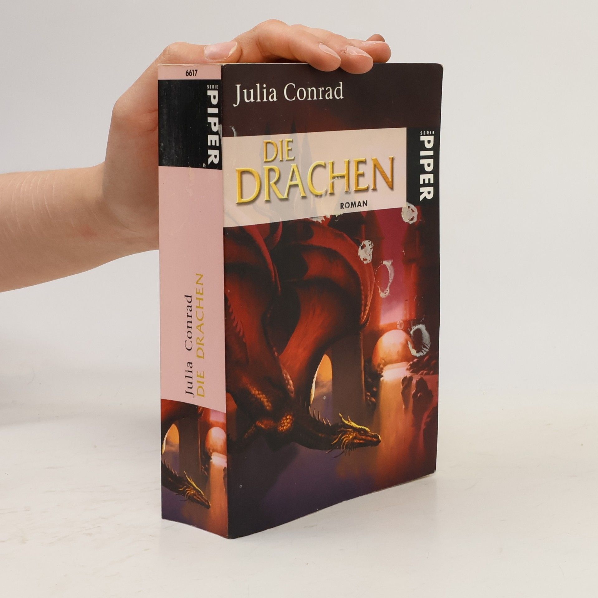 Julia Conrad Die Drachen