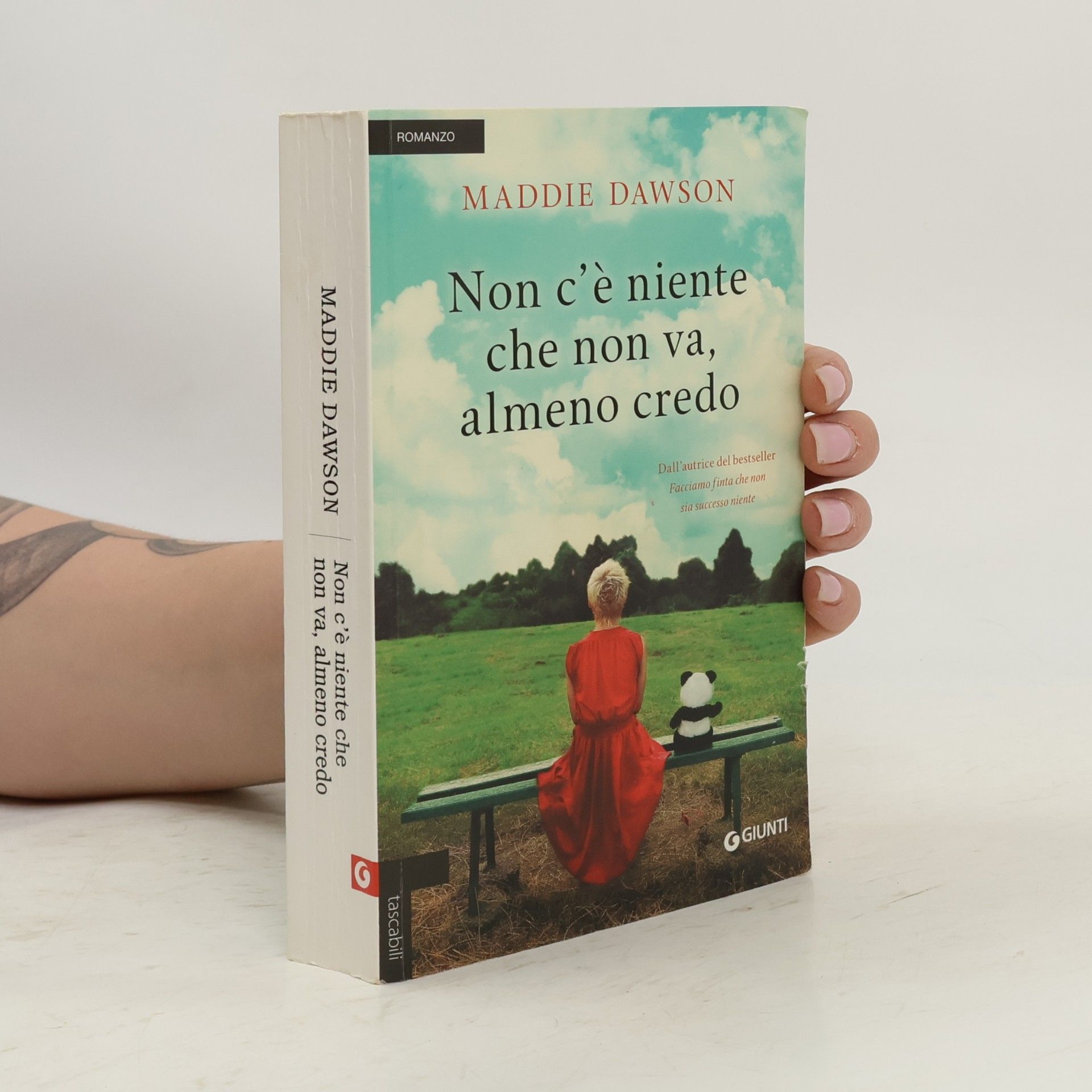 Maddie Dawson Non c'è niente che non va, almeno credo