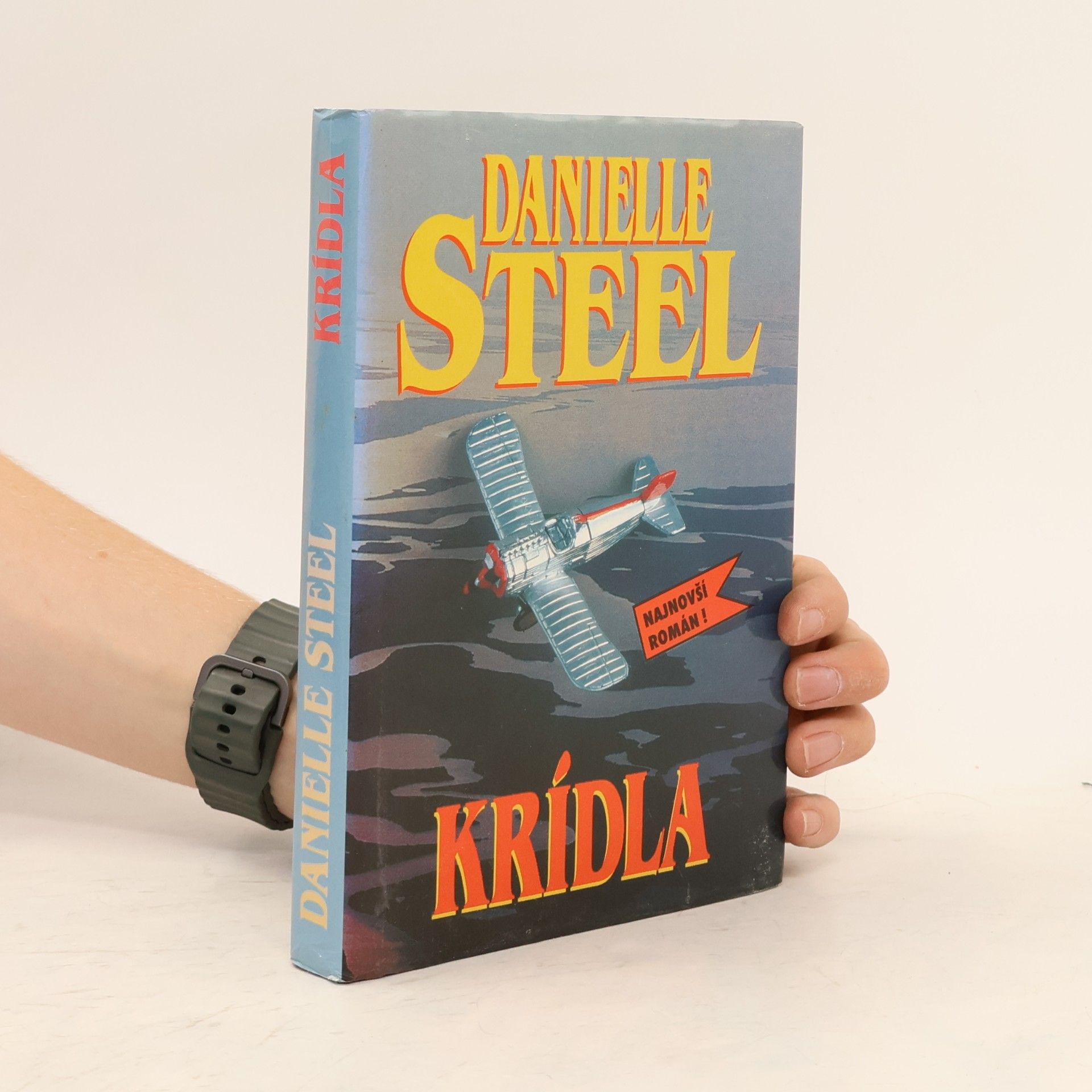 Danielle Steel Krídla