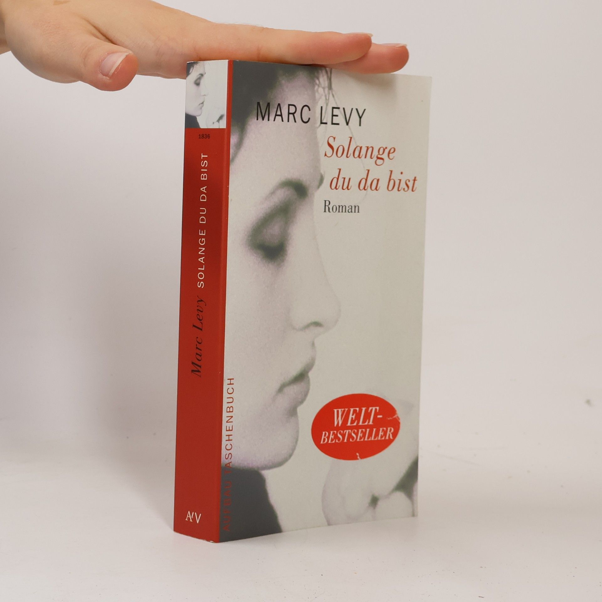 Marc Levy Solange du da bist