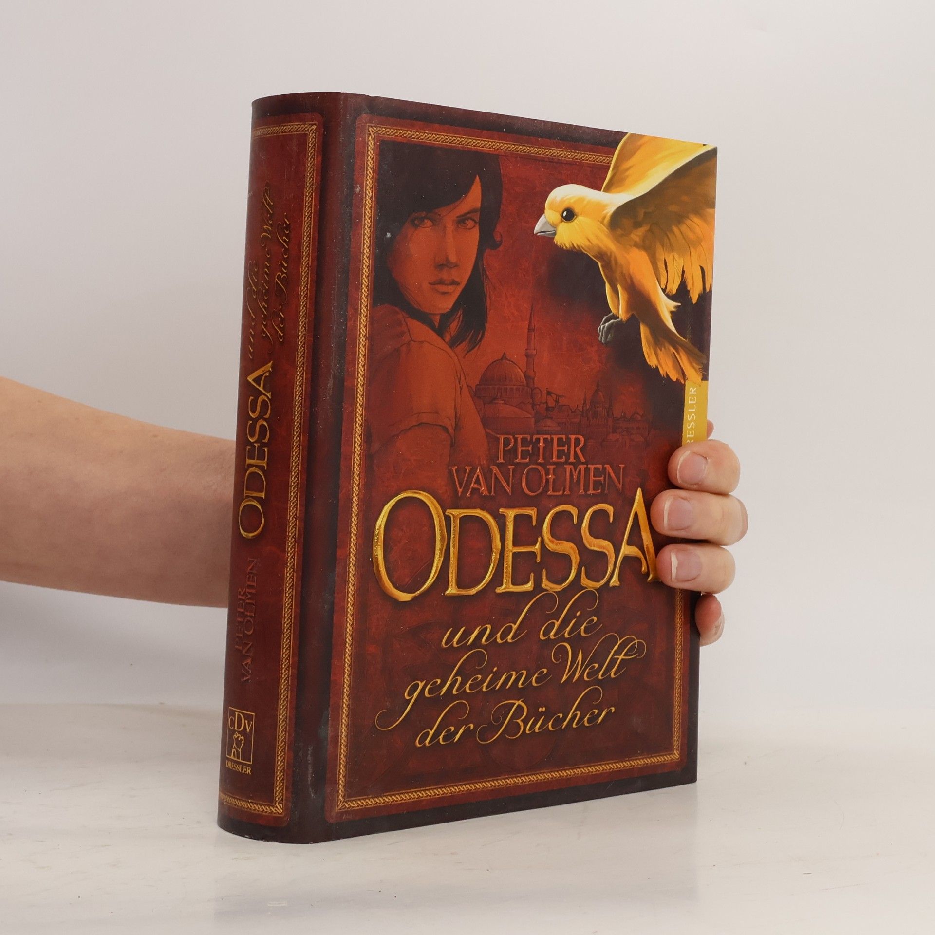 Peter Van Olmen Odessa und die geheime Welt der Bücher