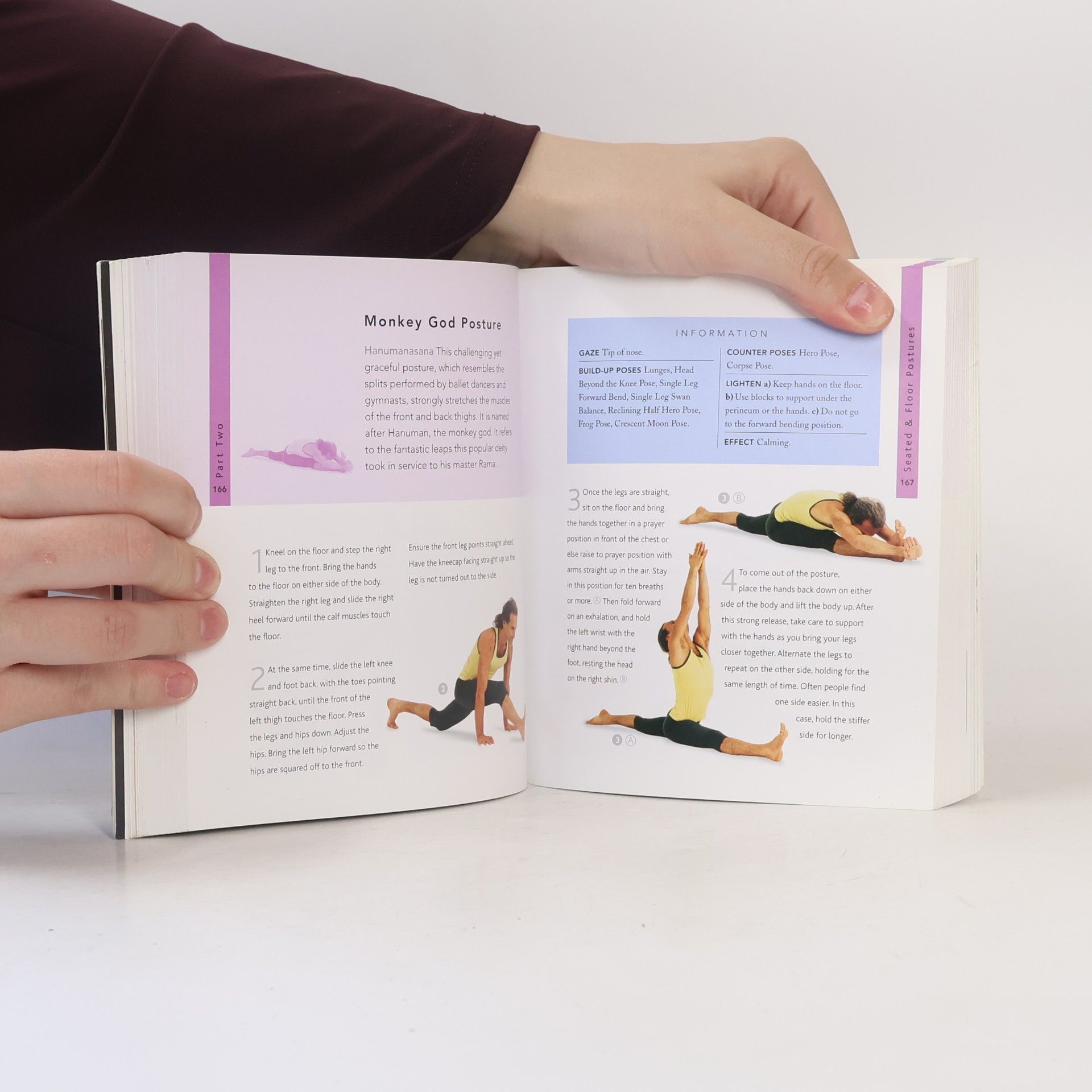 Christina Brown The joga bible- The definitive guide to joga postures