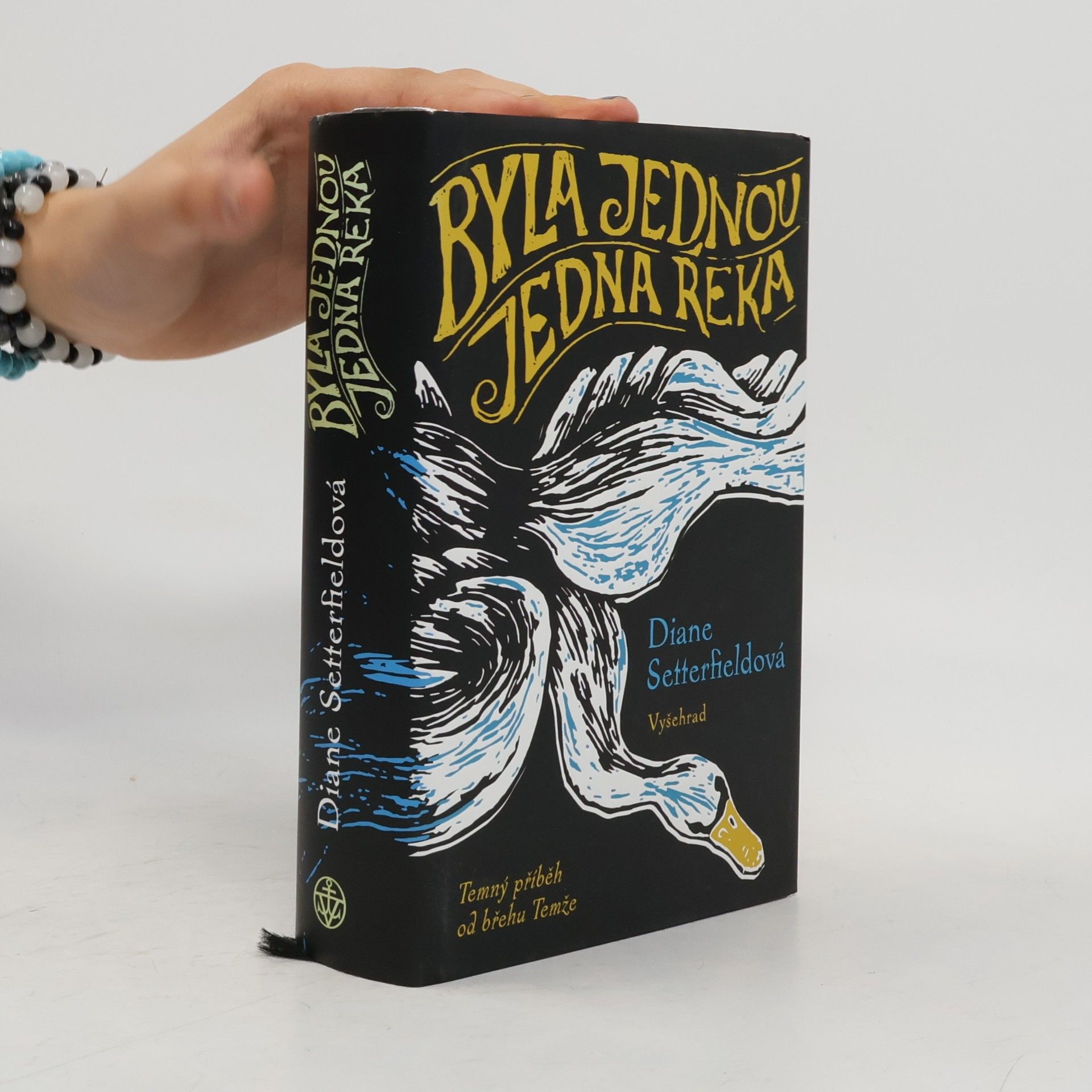 Diane Setterfield Byla jednou jedna řeka