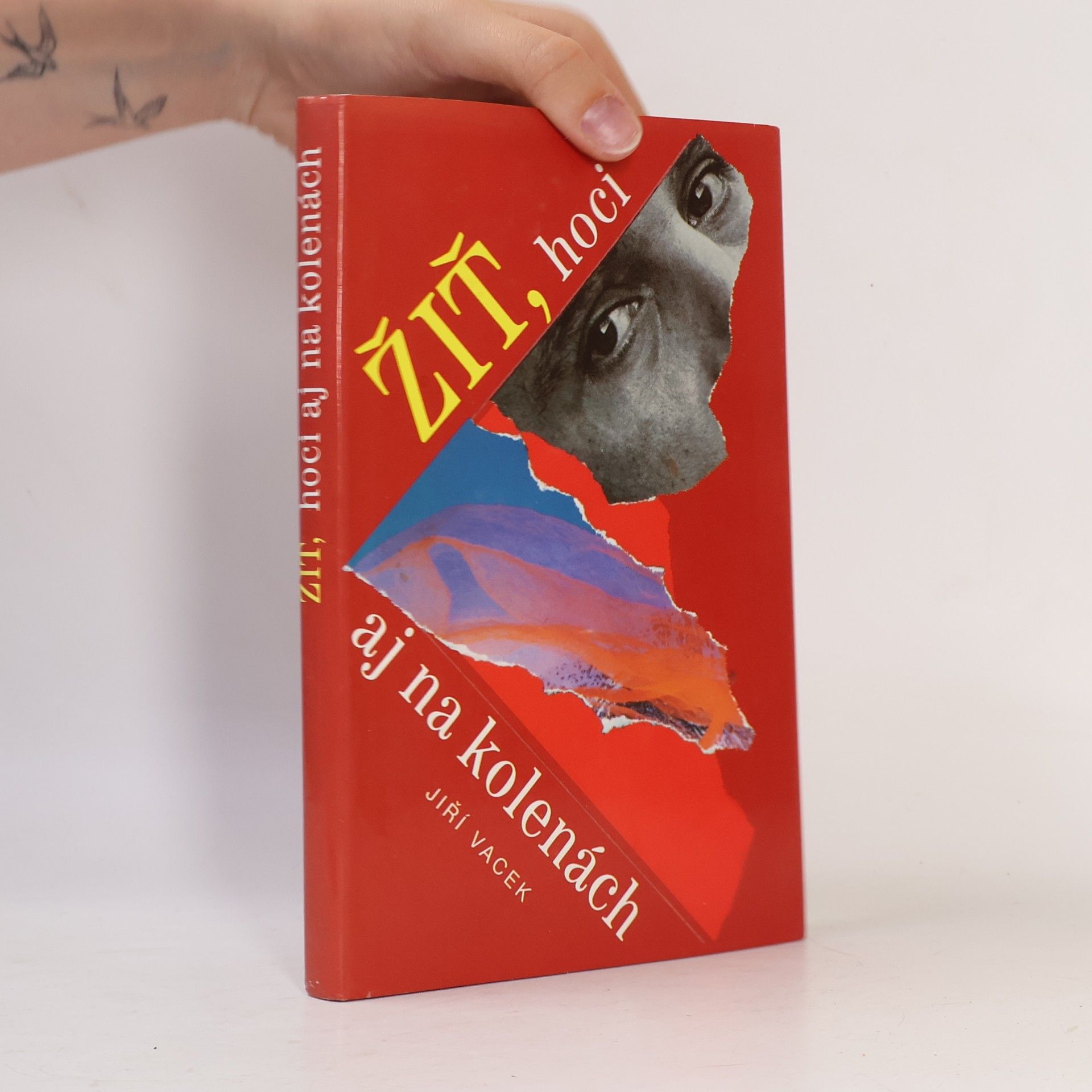 Jiří Vacek Žiť, hoci aj na kolenách