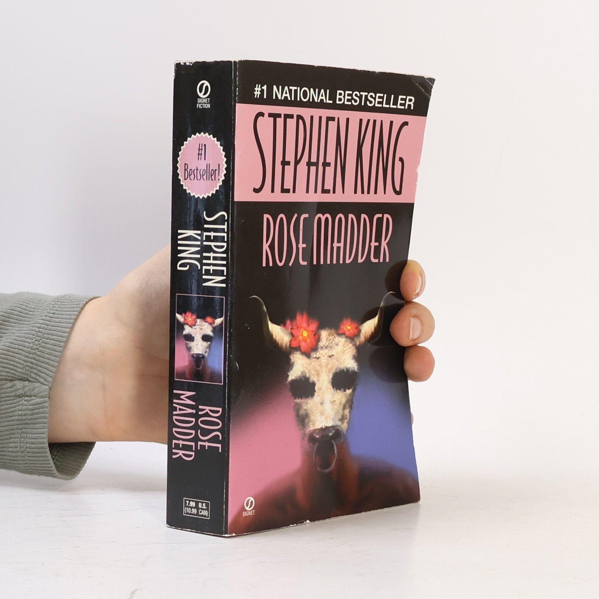 Stephen King Rose Madder