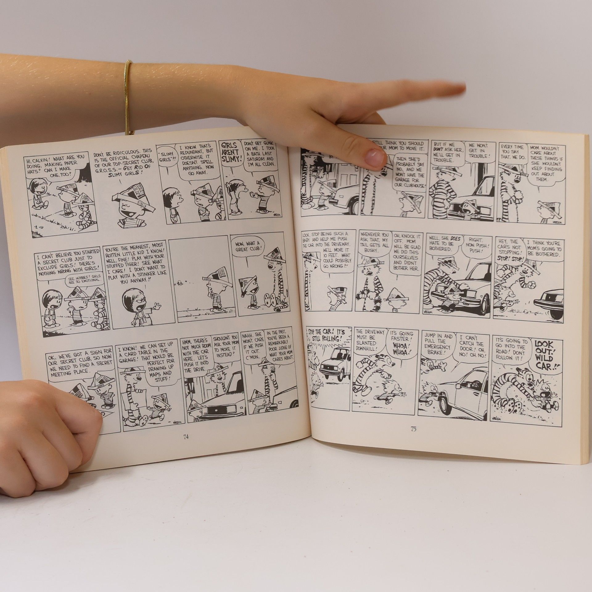 Bill Watterson Calvin and Hobbes Collection: The Revenge of the Baby-Sat
