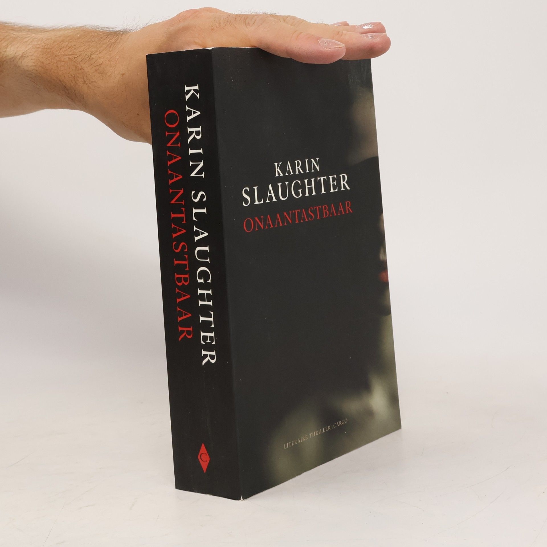 Karin Slaughter Onaantastbaar