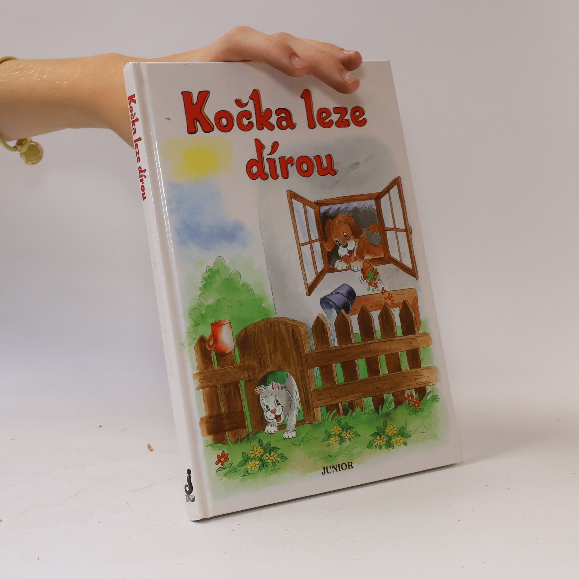 Vladimíra Vopičková Kočka leze dírou