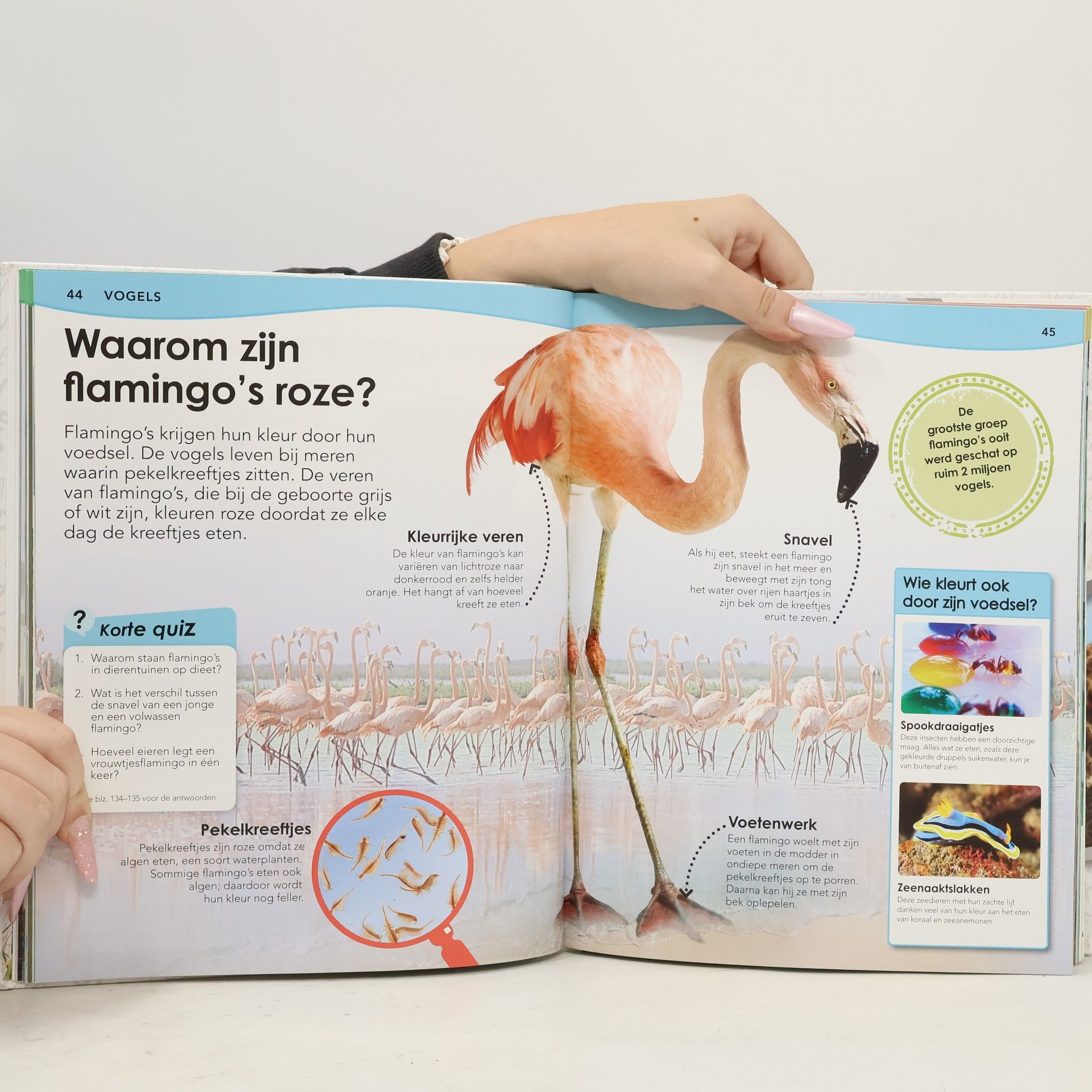 Derek Harvey Waarom? de grote dierenencyclopedie: duidelijke antwoorden op vragen van kinderen
