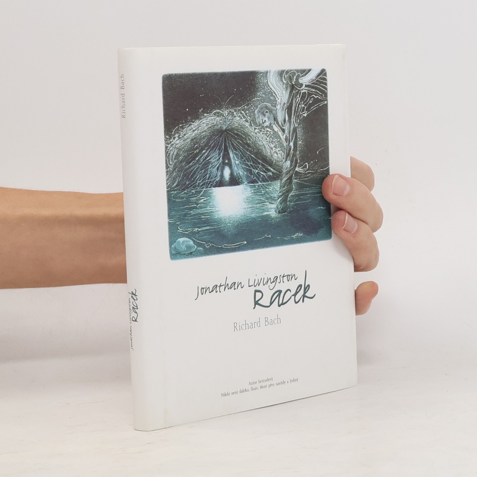 Richard Bach Jonathan Livingston Racek