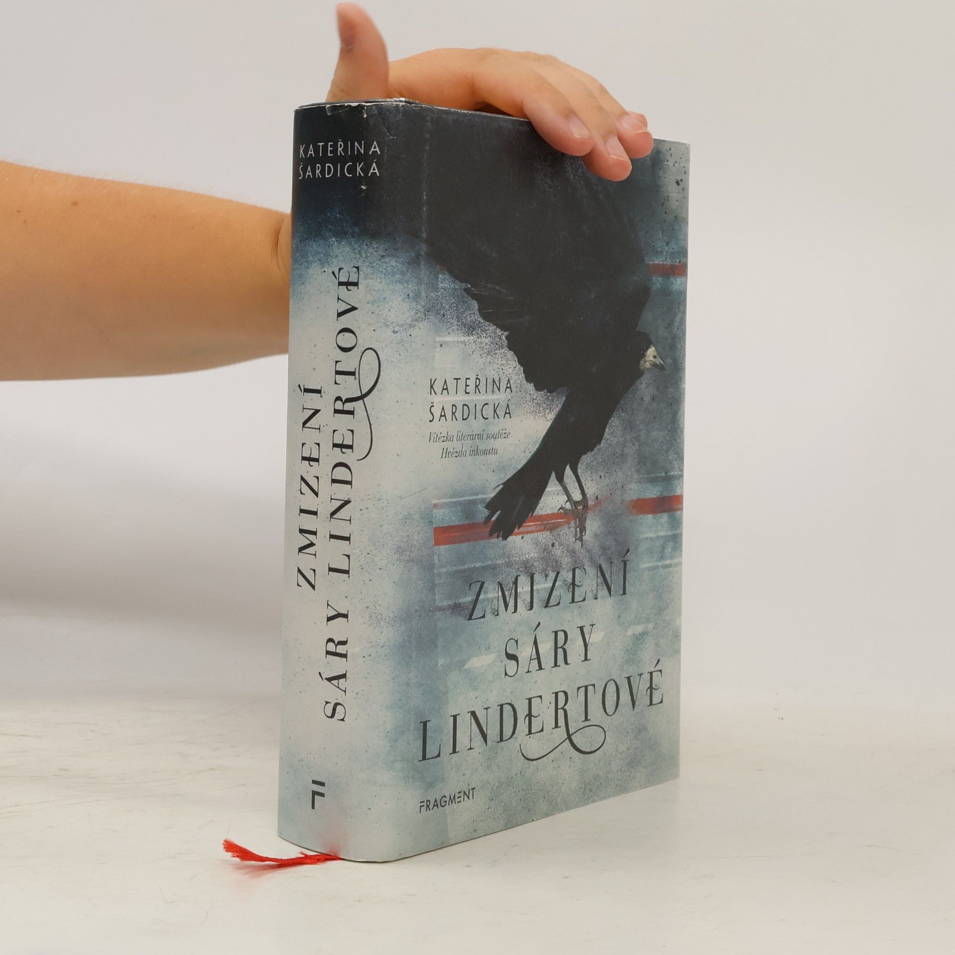 Kateřina Šardická Zmizení Sáry Lindertové