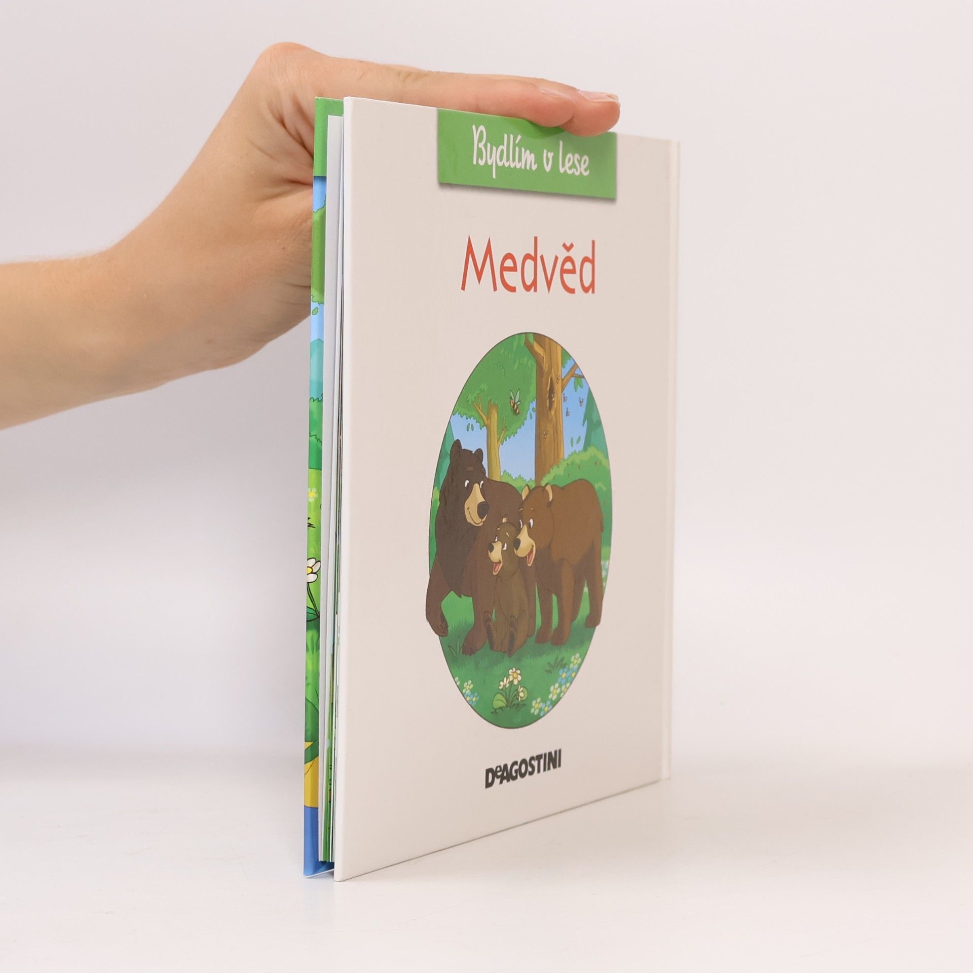 Feryal Kanbay Medvěd