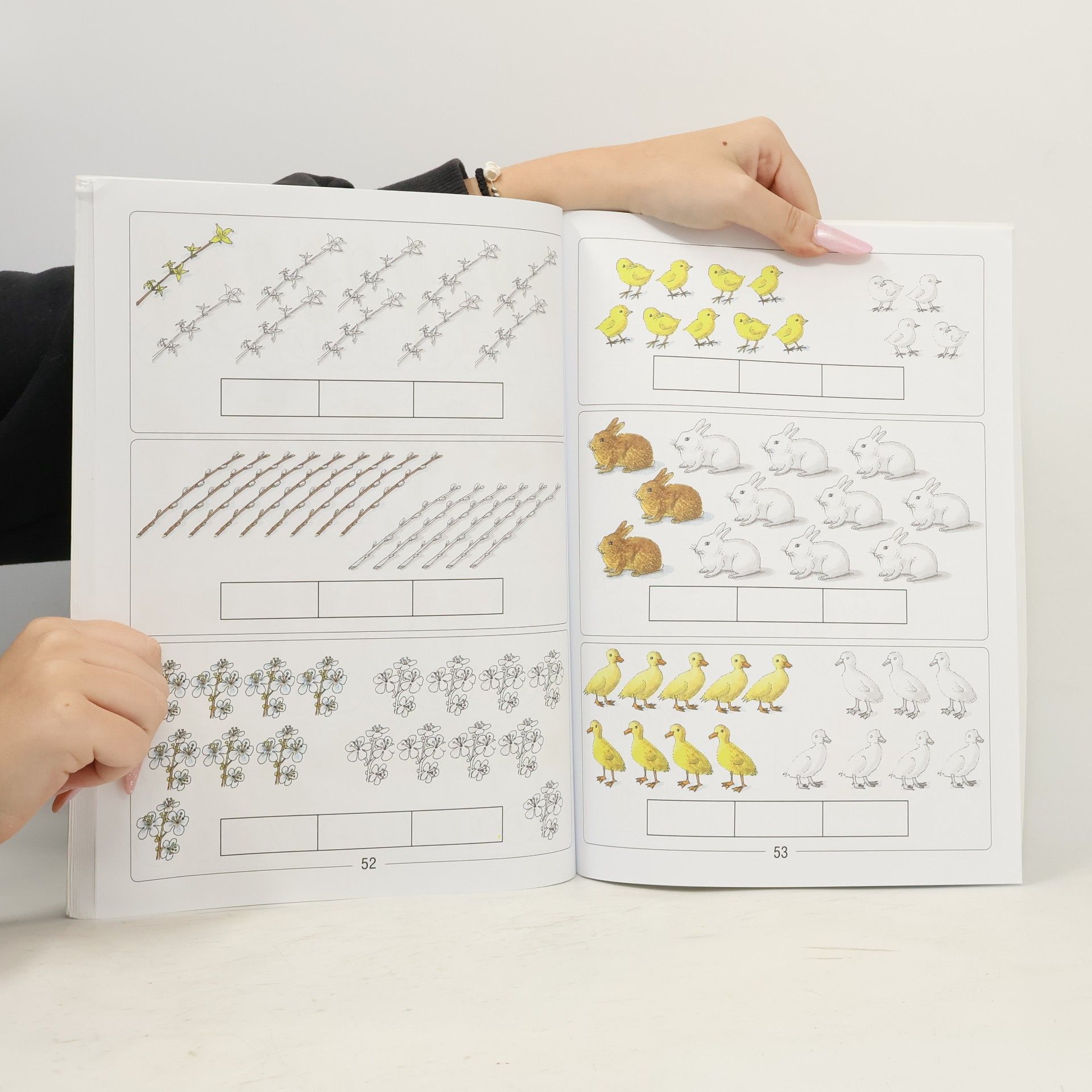 Janka Rýglová Matematika pre 2. ročník špeciálnej základnej školy 2. časť