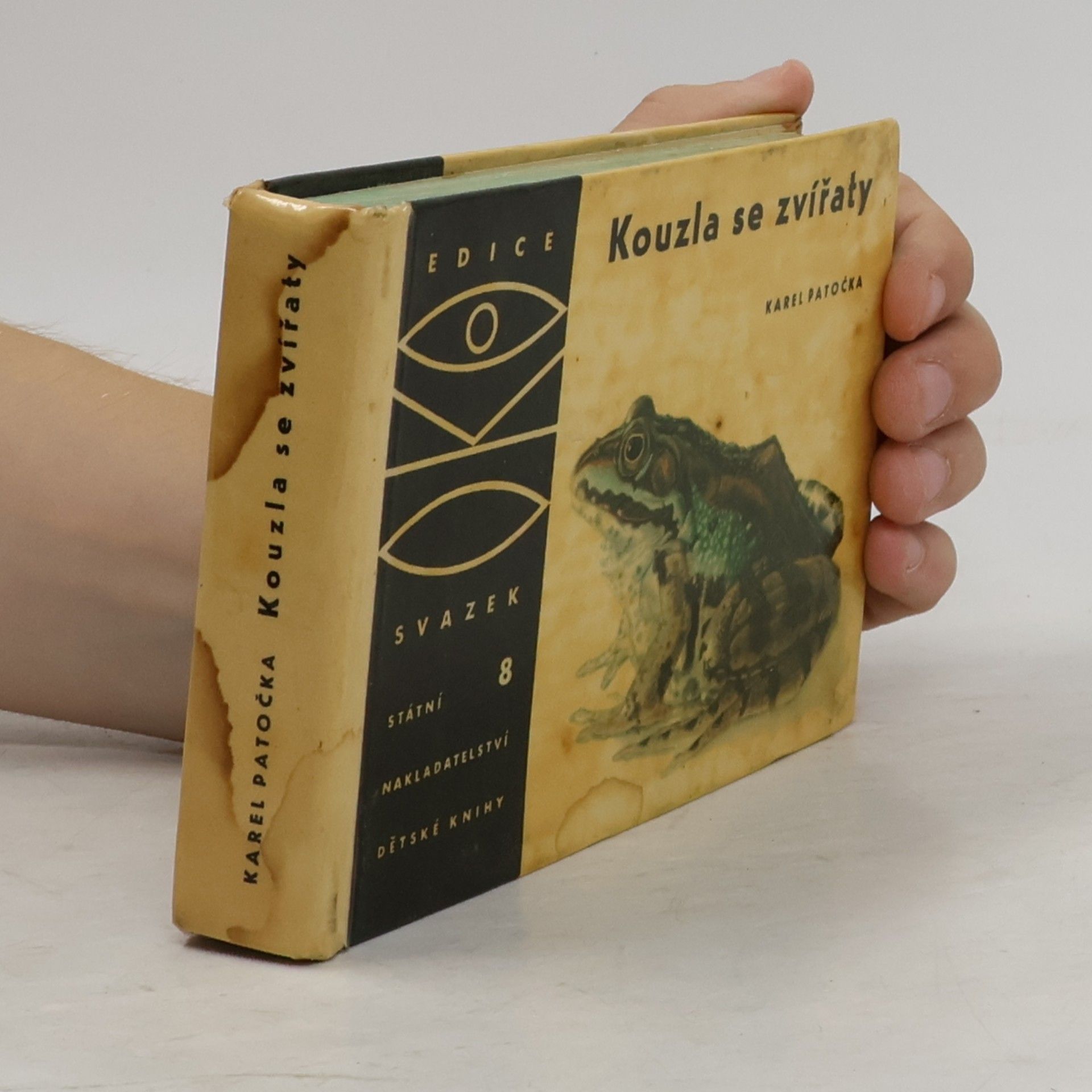 Various authors Kouzla se zvířaty