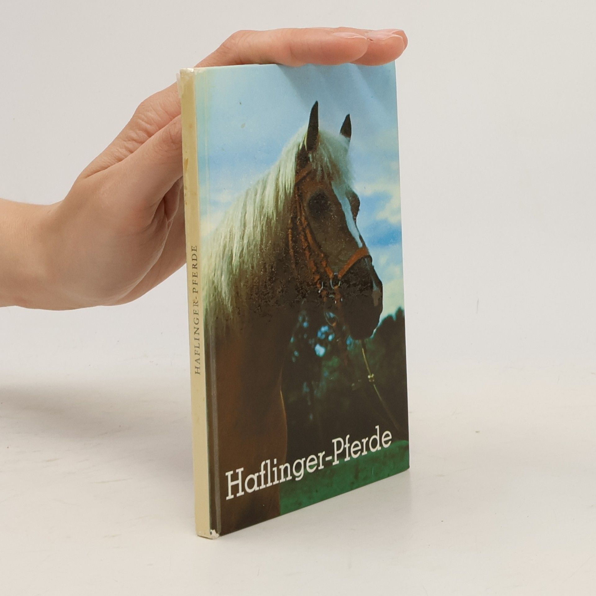 Various authors Haflinger-Pferde