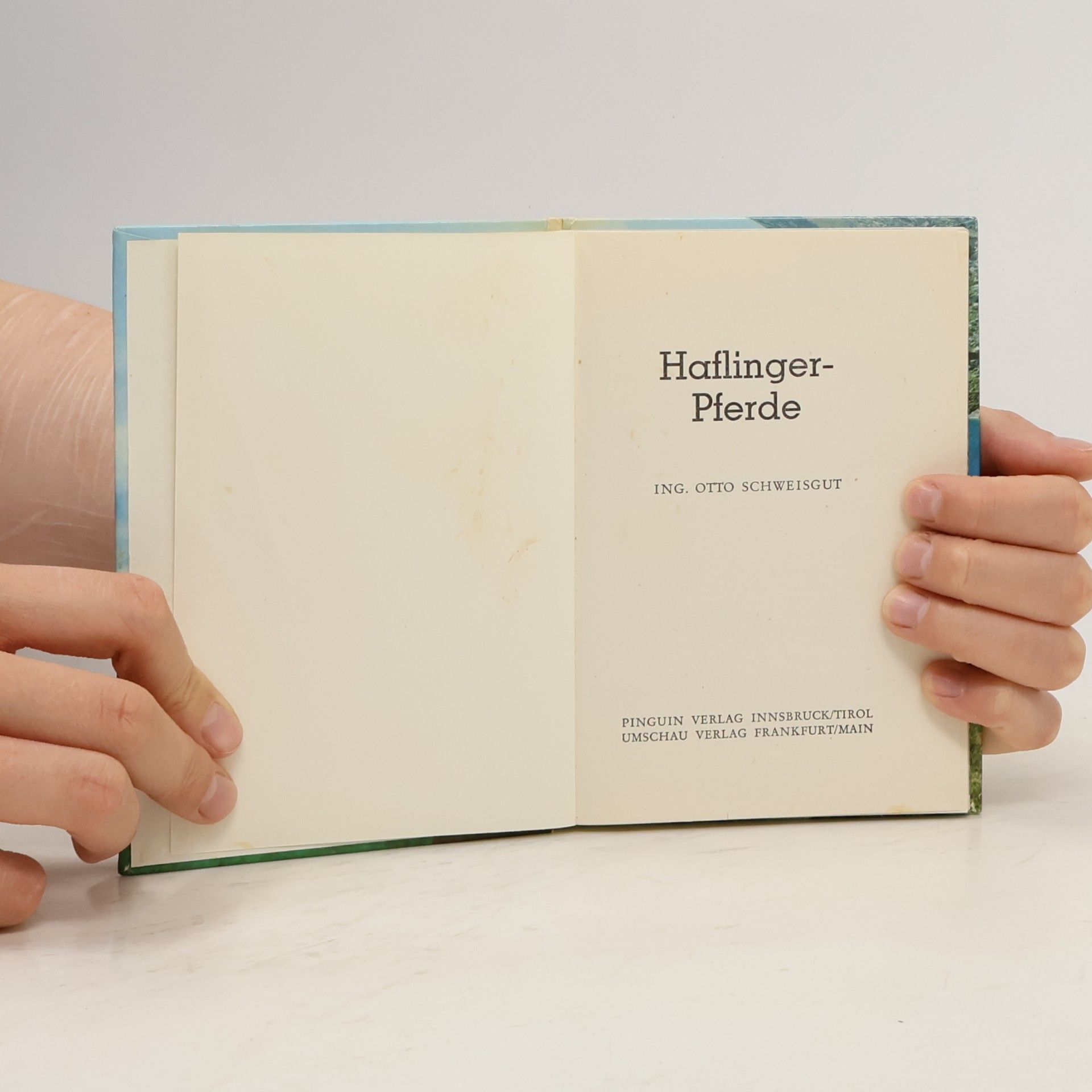 Various authors Haflinger-Pferde