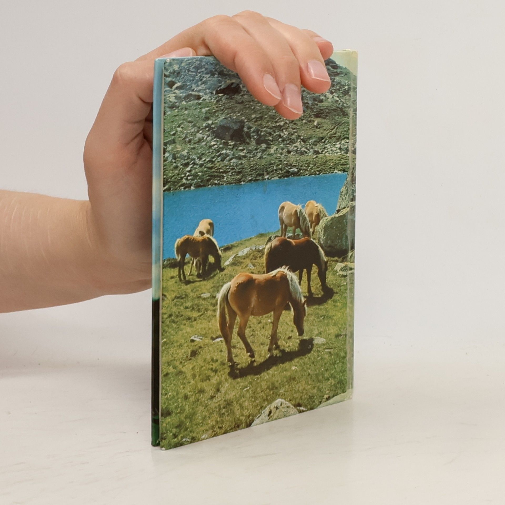 Various authors Haflinger-Pferde
