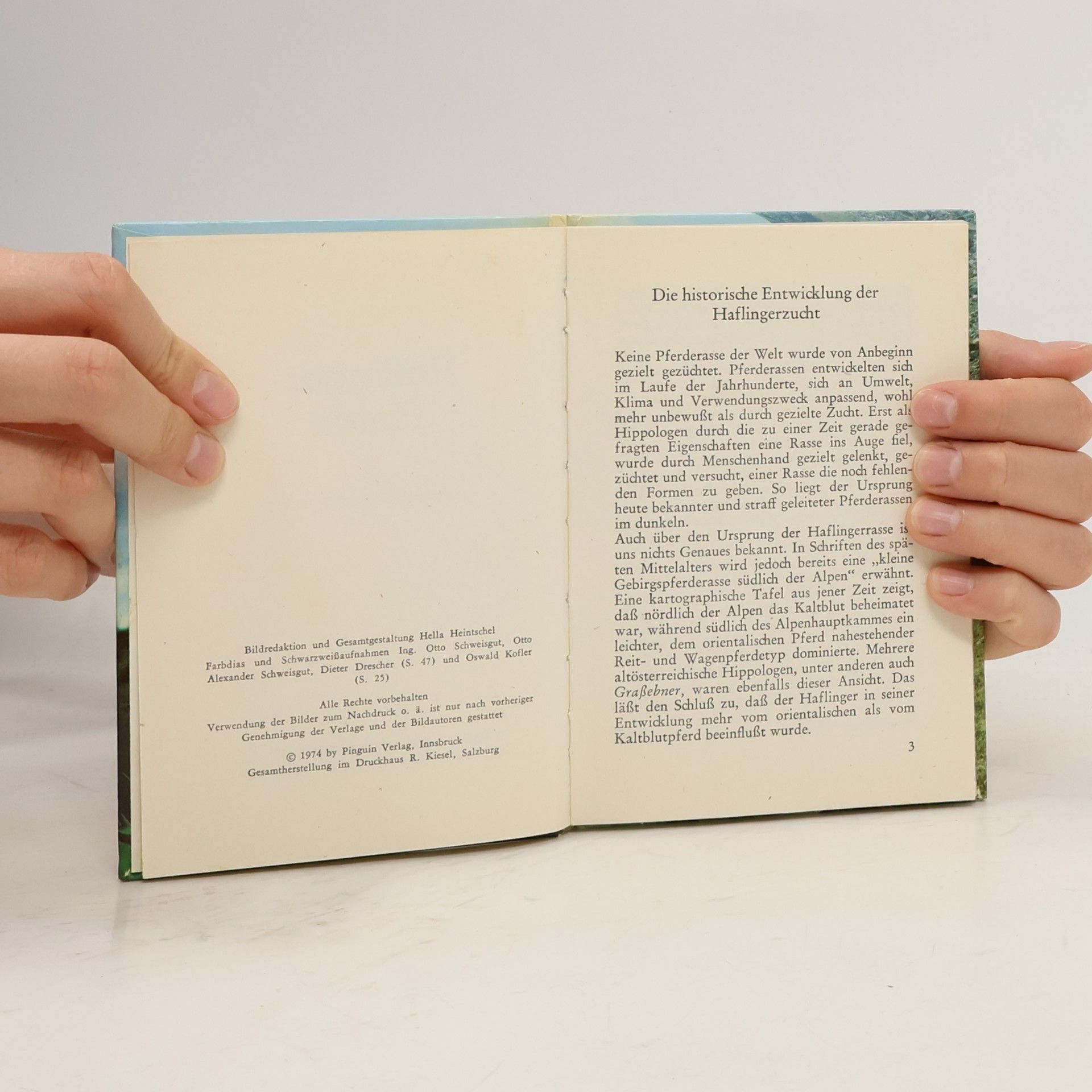 Various authors Haflinger-Pferde