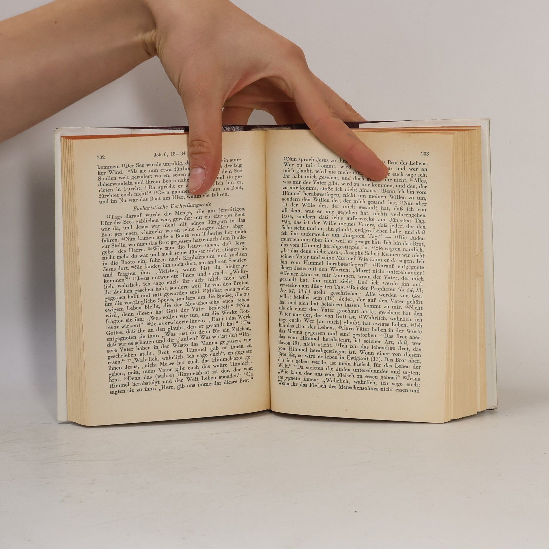 Pius Parsch Die Heilige Schrift des Neuen Bundes