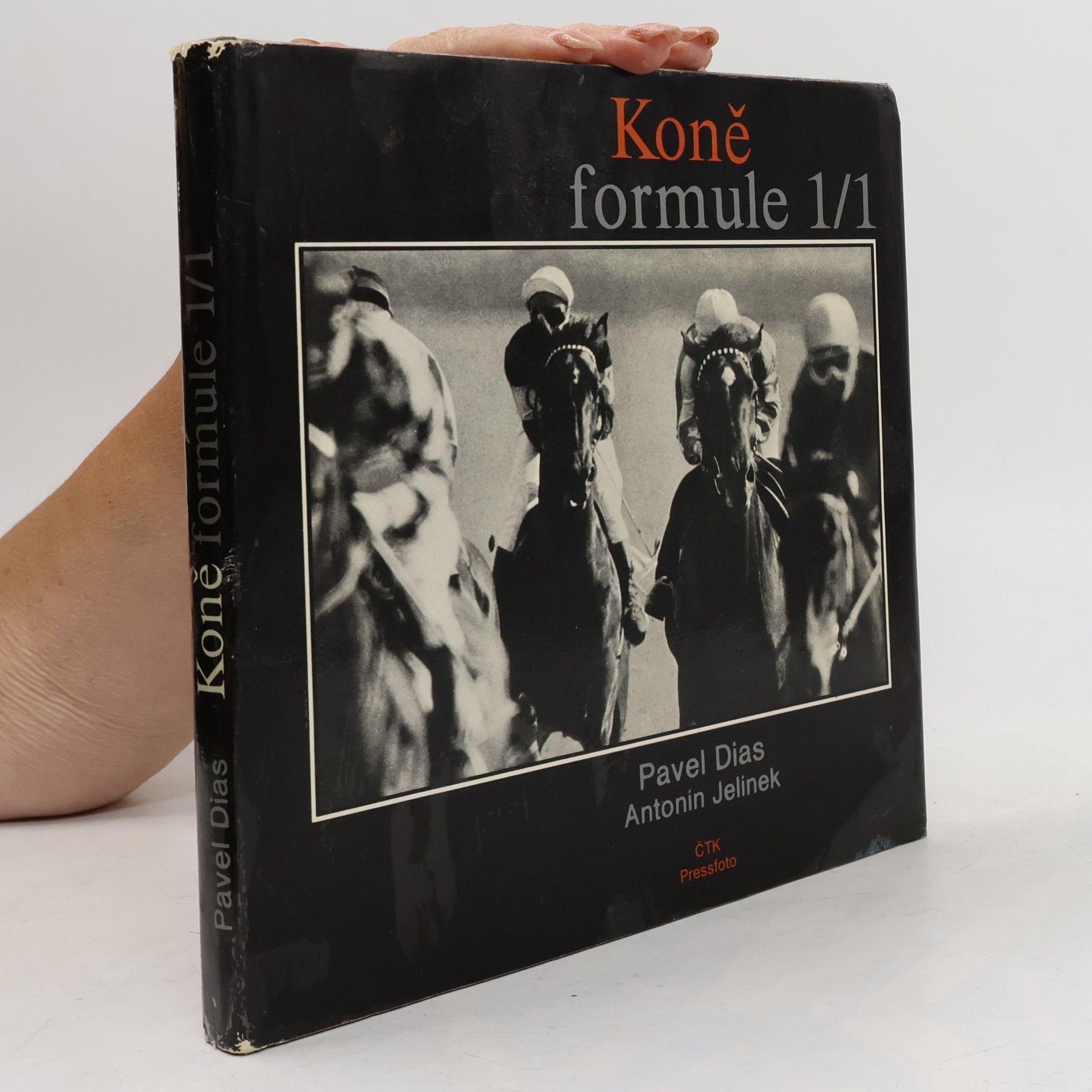 Pavel Dias Koně formule 1/1