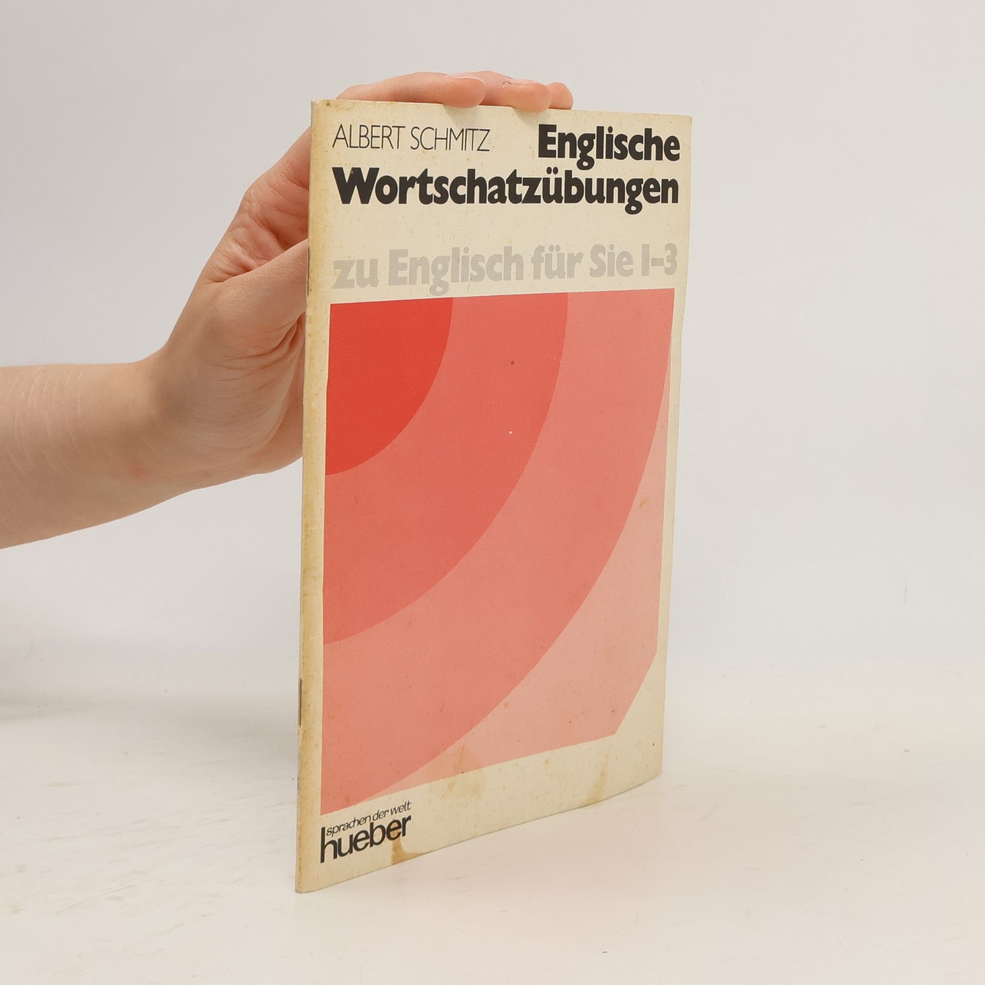Englische Wortschatzübungen. Zu Hoffmann / Mepham: Englisch für Sie 1 - 3