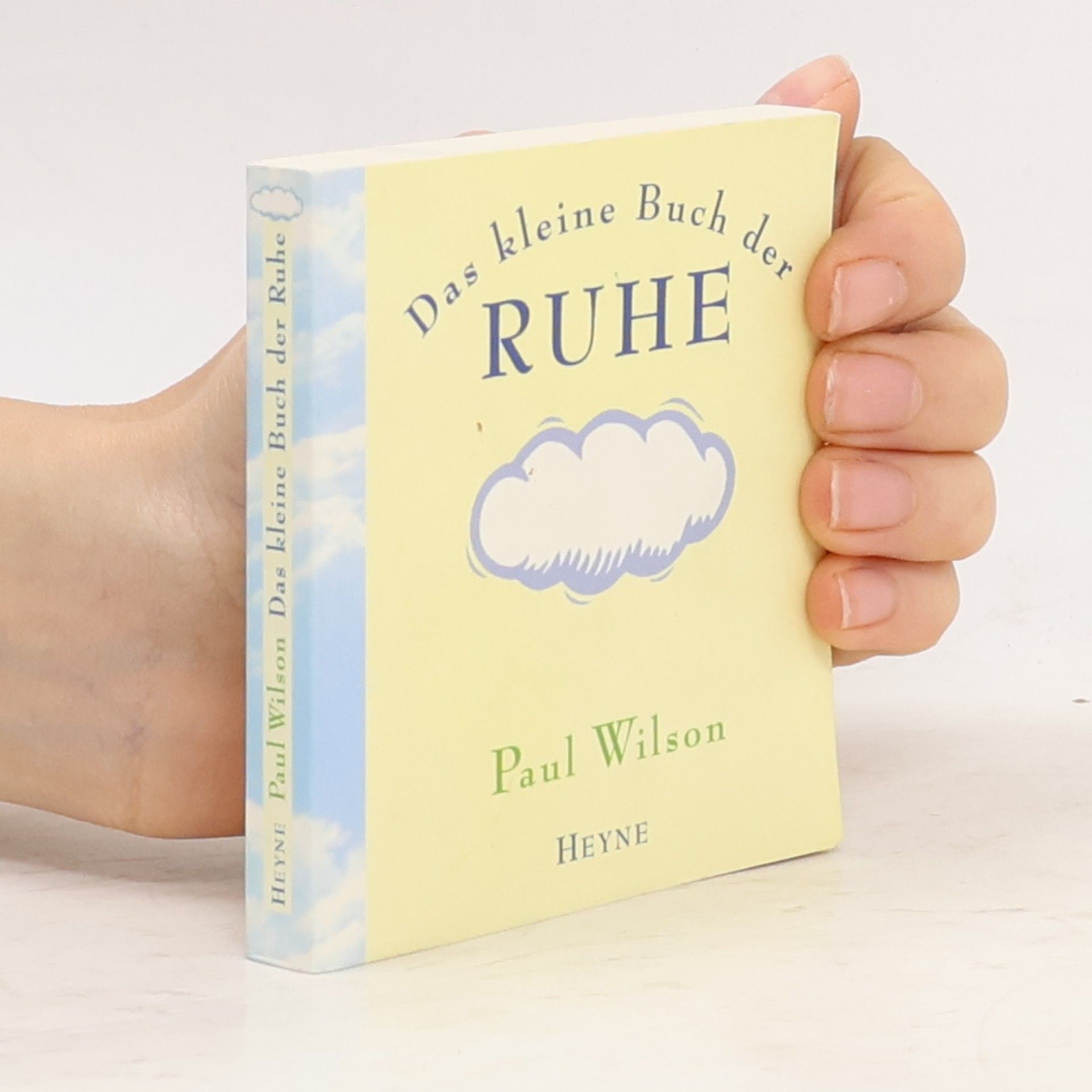 Paul Wilson Das kleine Buch der Ruhe