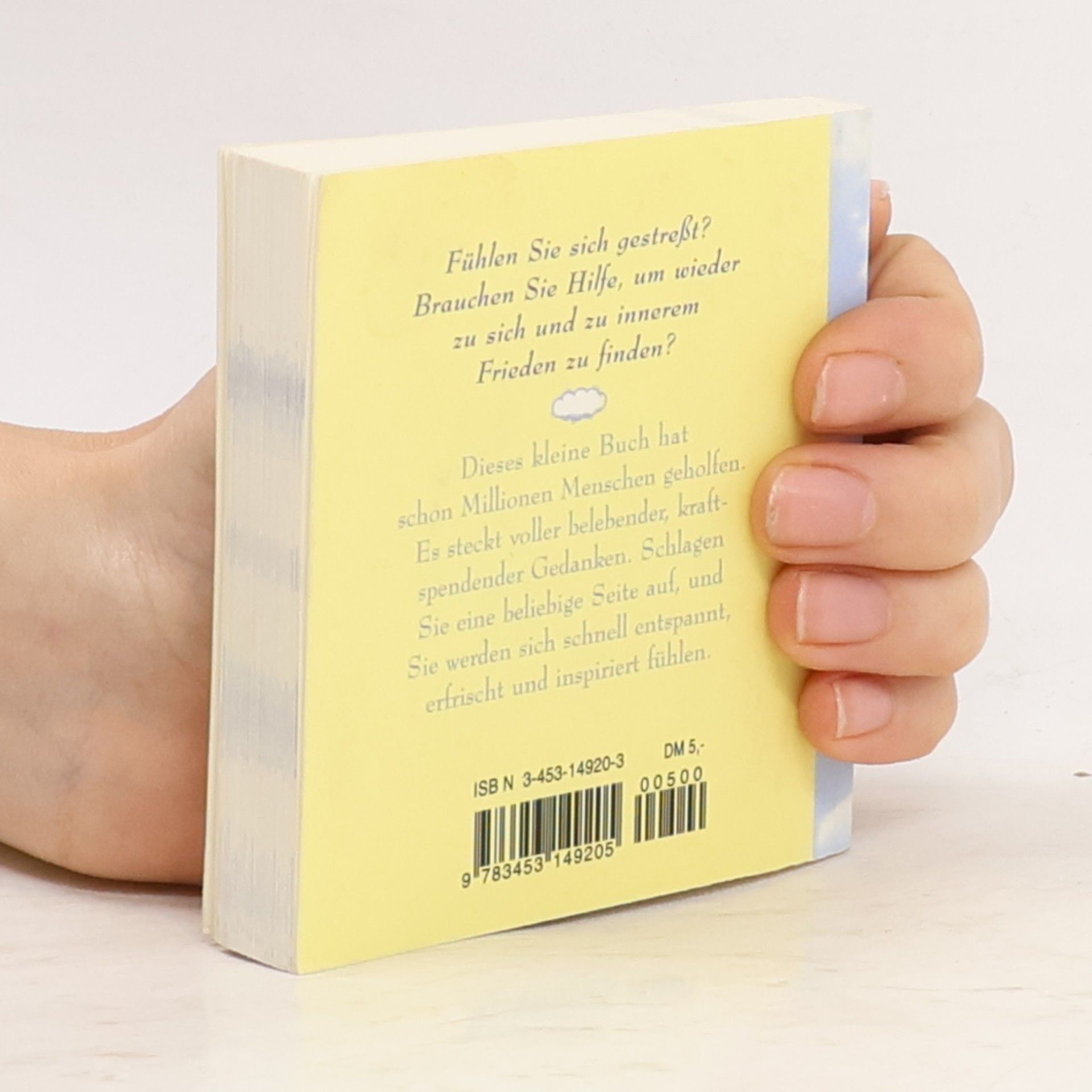 Paul Wilson Das kleine Buch der Ruhe