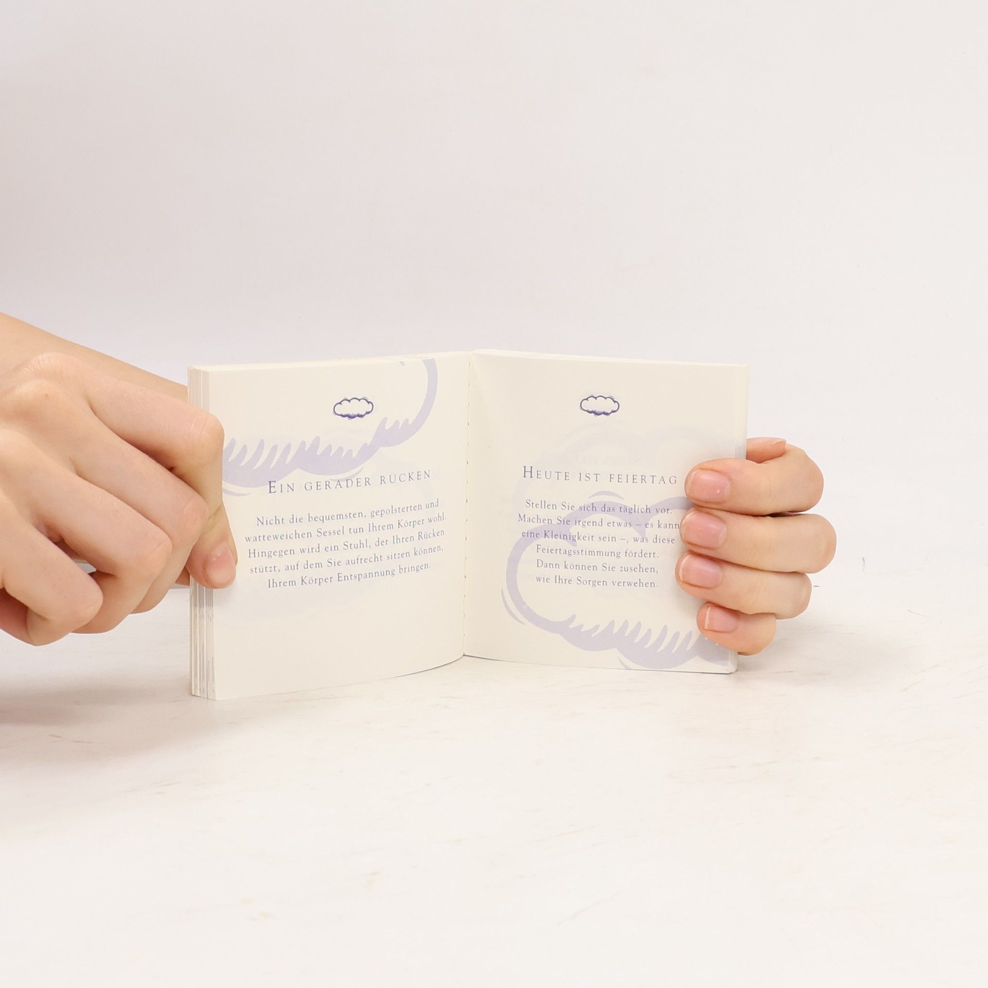 Paul Wilson Das kleine Buch der Ruhe
