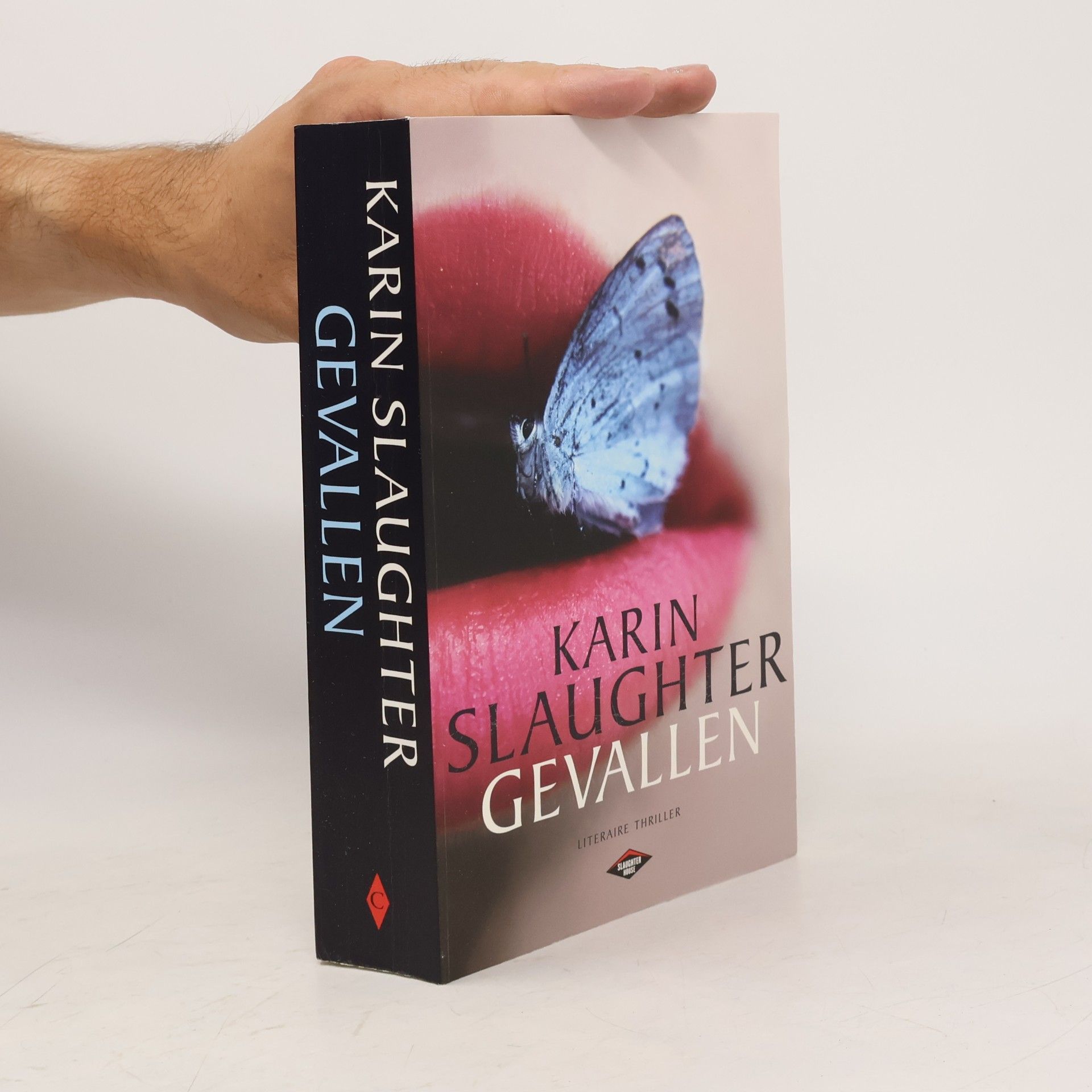 Karin Slaughter Gevallen
