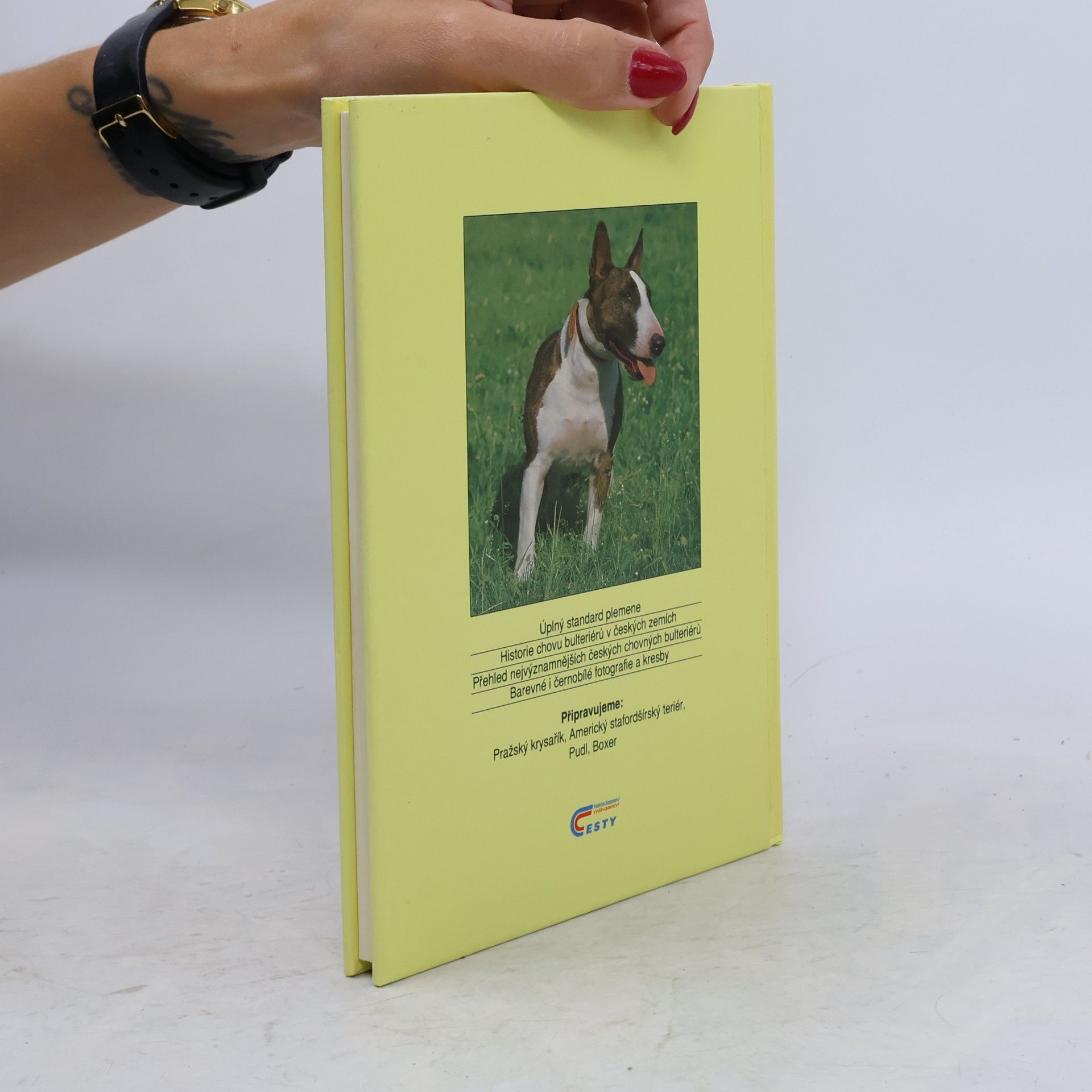 Ohlídal Jiří Bulteriér