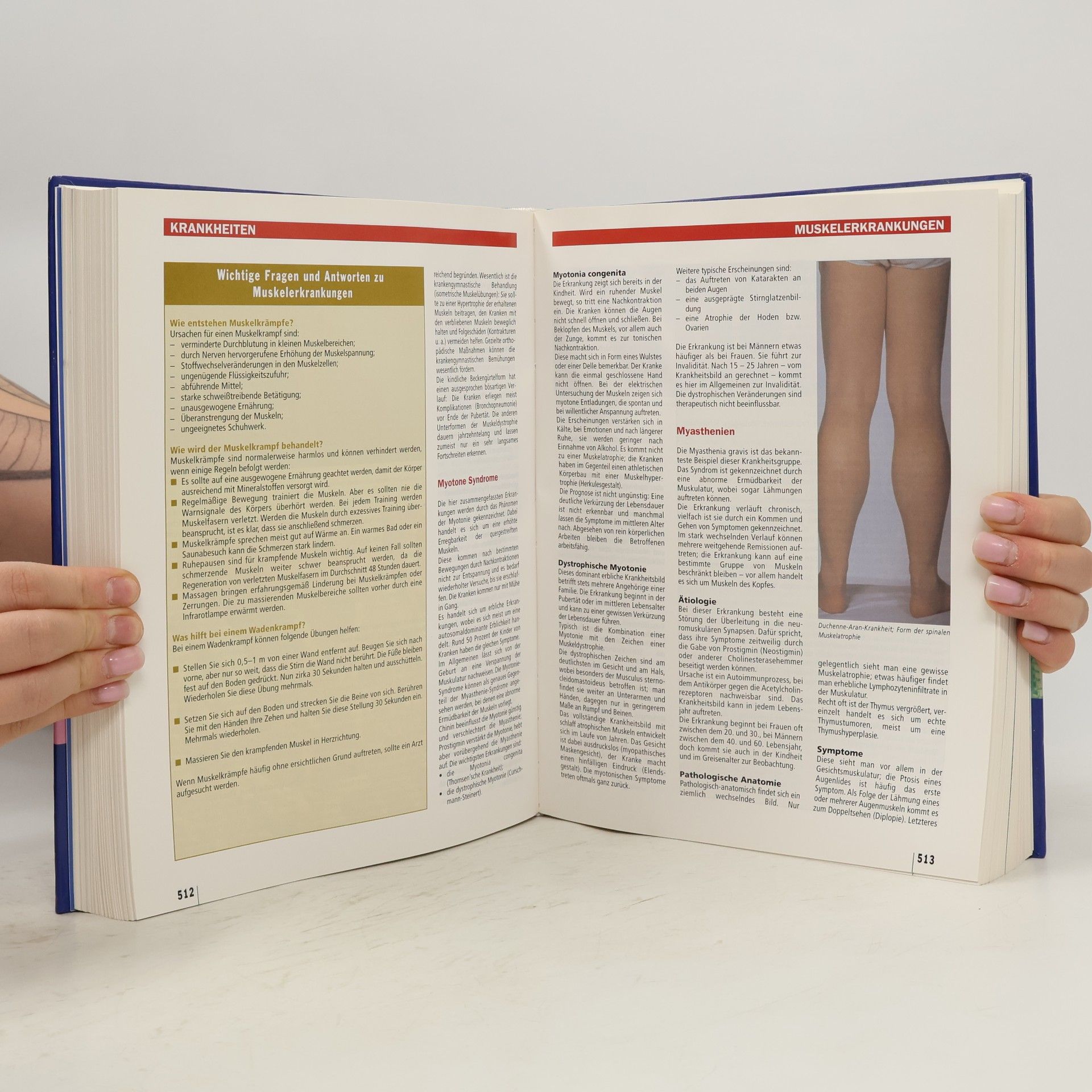 Autores varios Hausbuch Medizin & Gesundheit