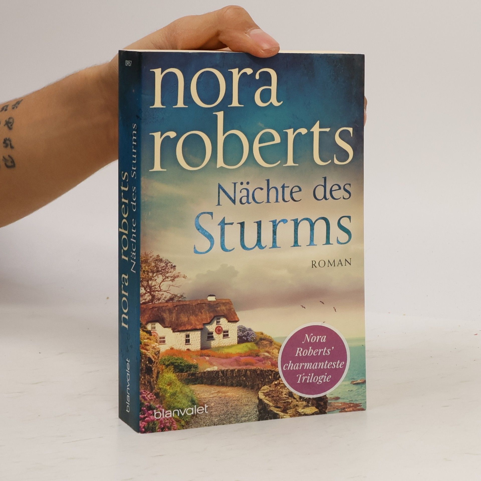 Nora Roberts Nächte des Sturms