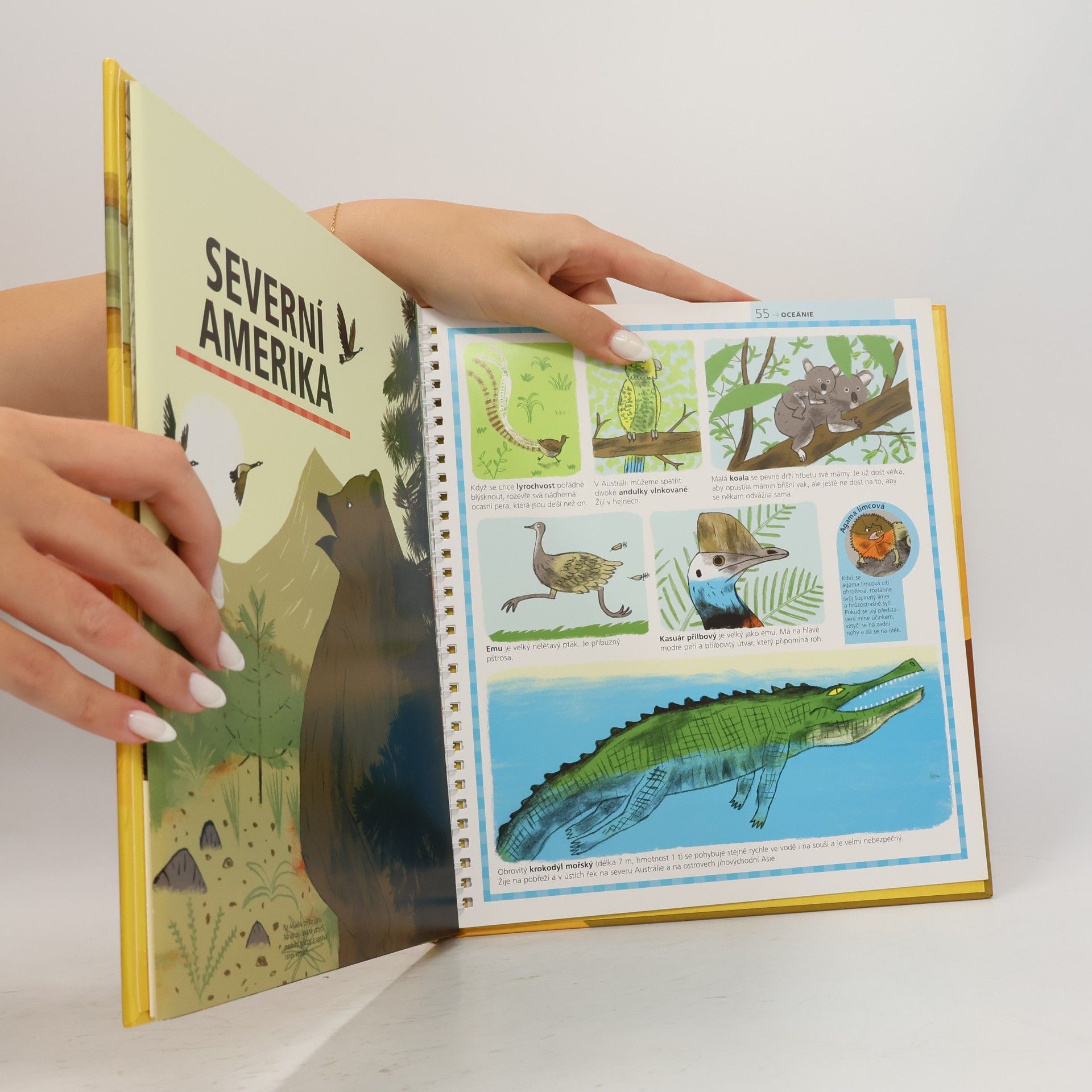 kolektiv Můj první atlas Larousse. Zvířata